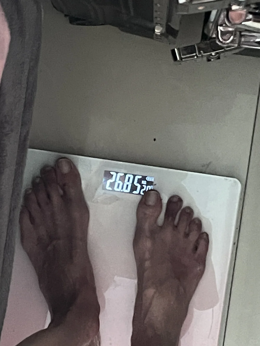 今日体重