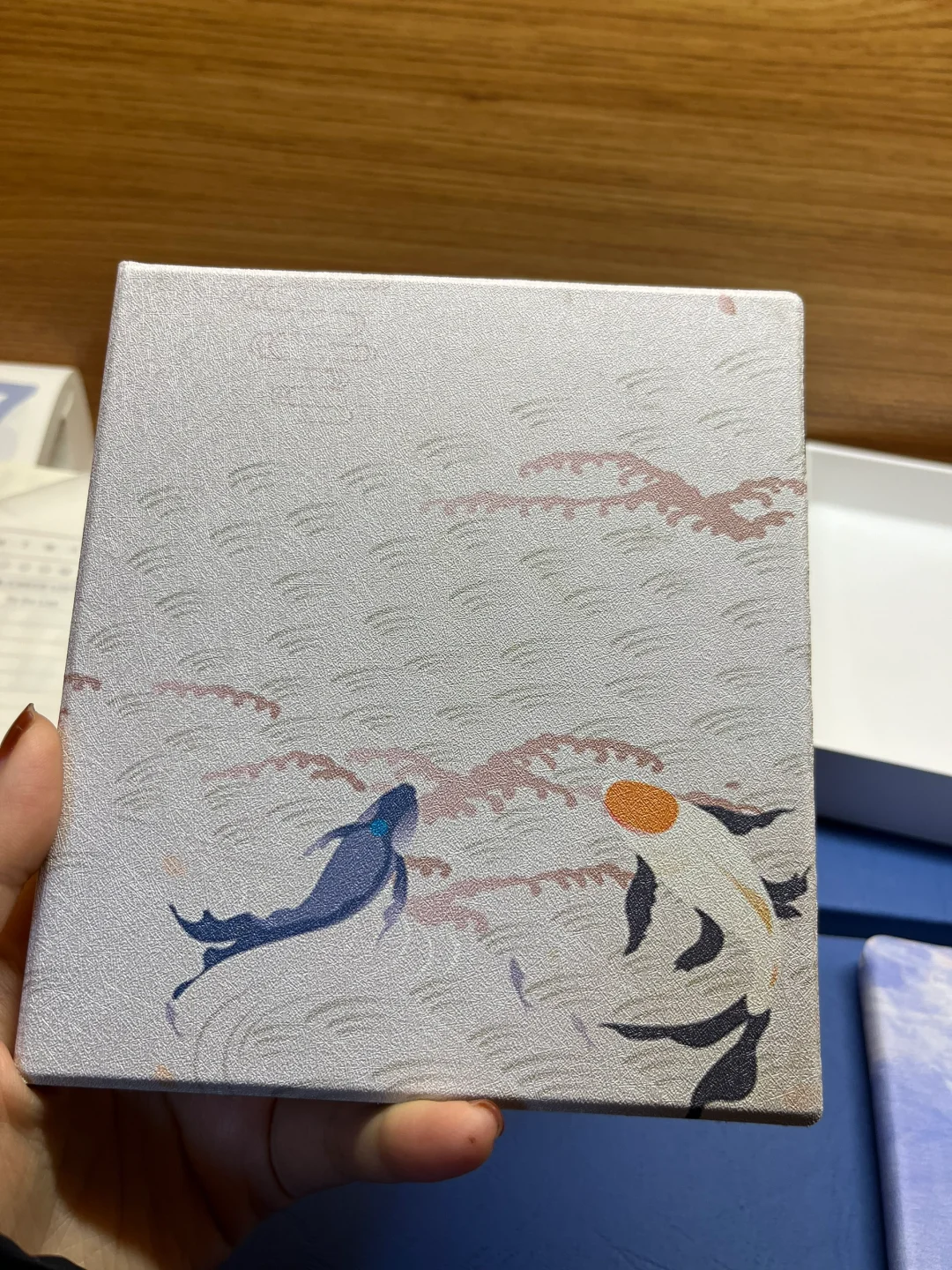 二手掌阅iReader ocean2