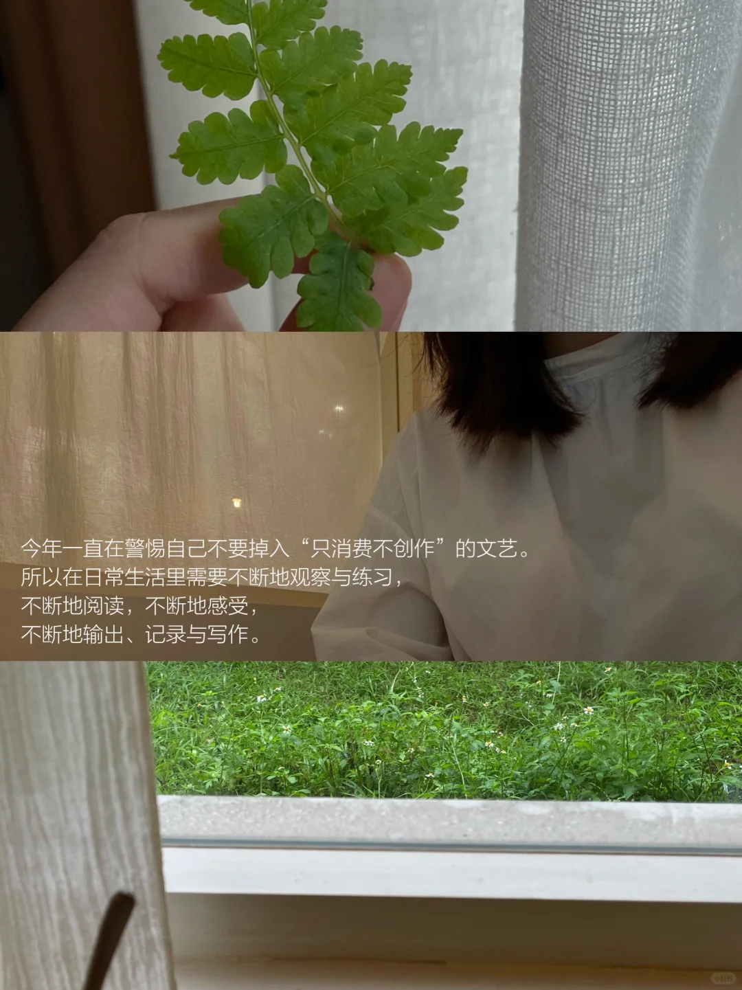 我的解压方式：独处 散步 逛公园 阅读
