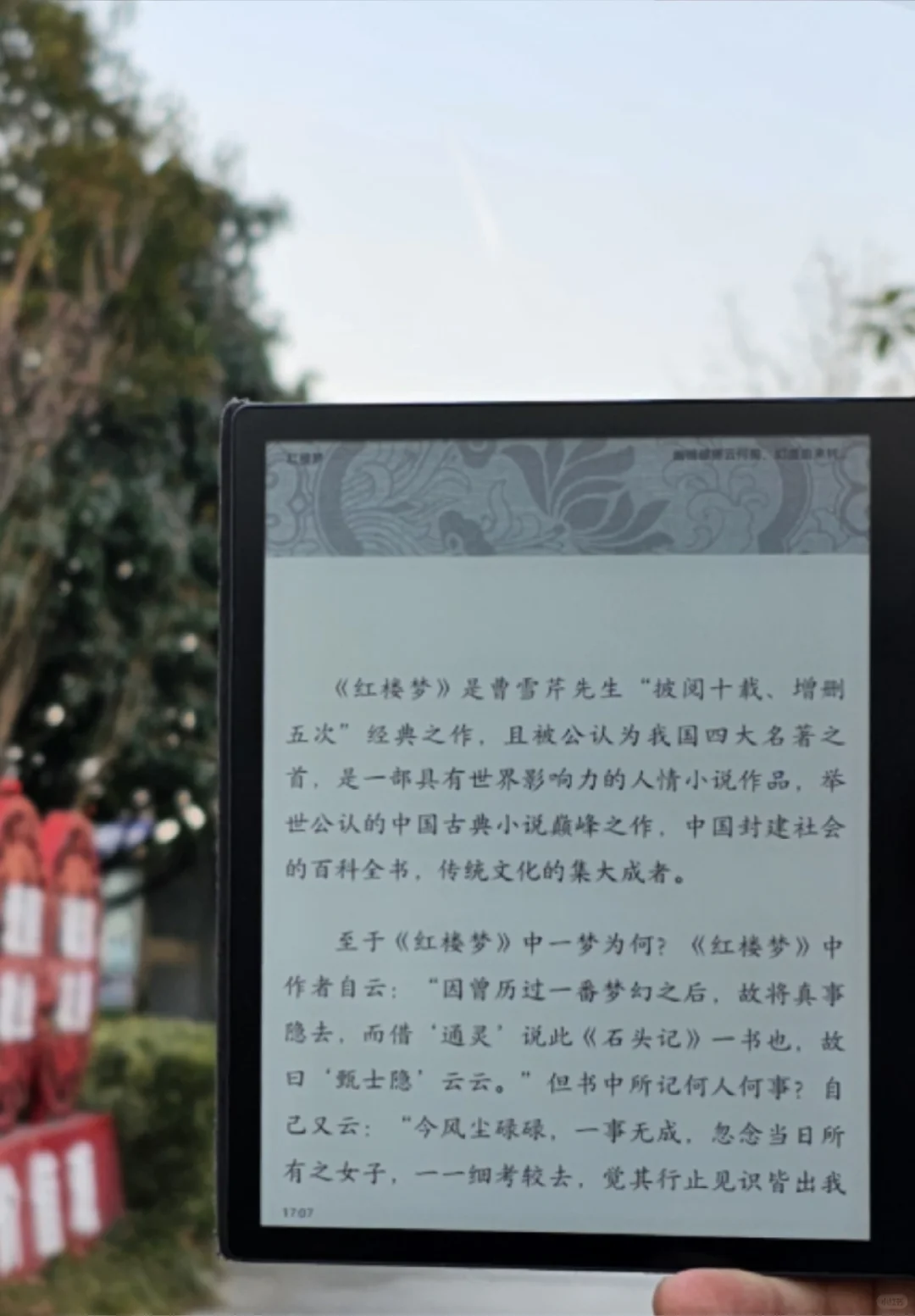 芳菲漫卷石头记