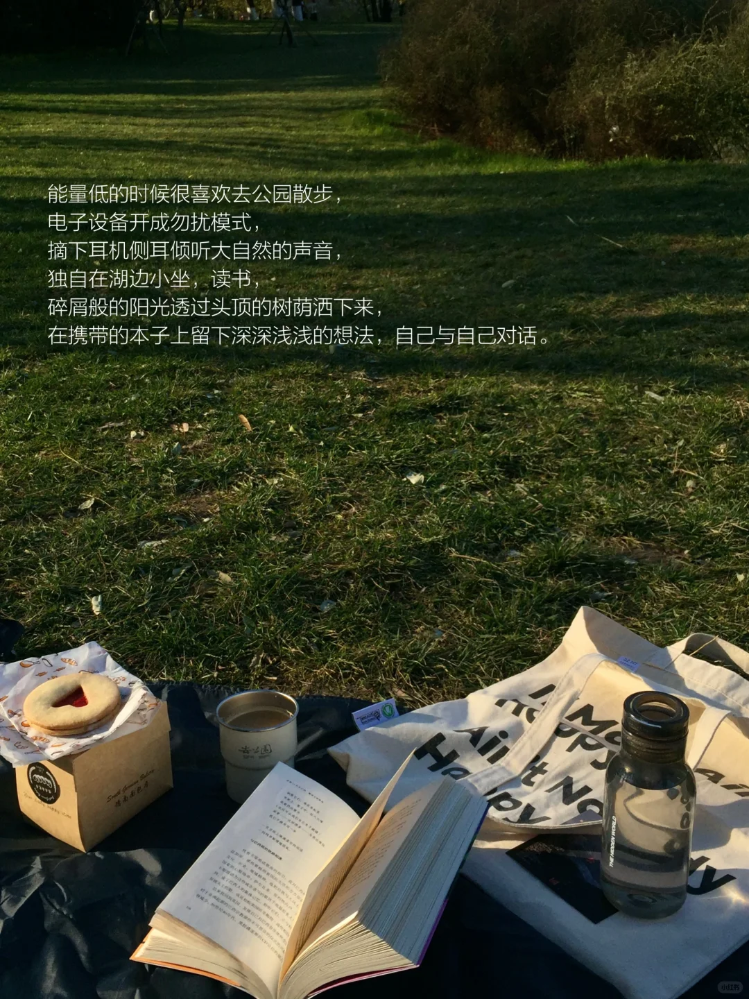 我的解压方式：独处 散步 逛公园 阅读