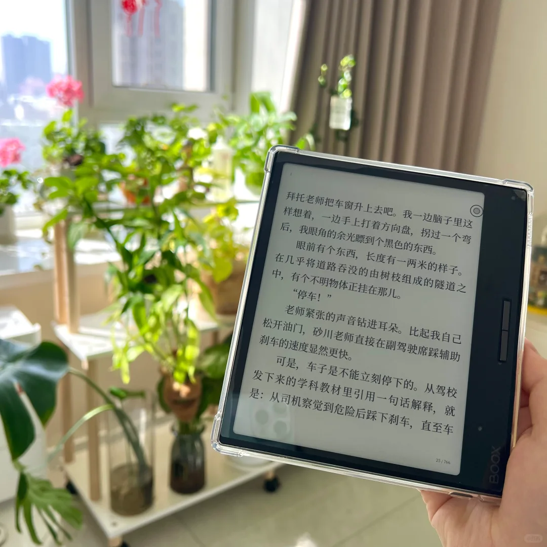 坐在飘窗晒太阳看书的快落