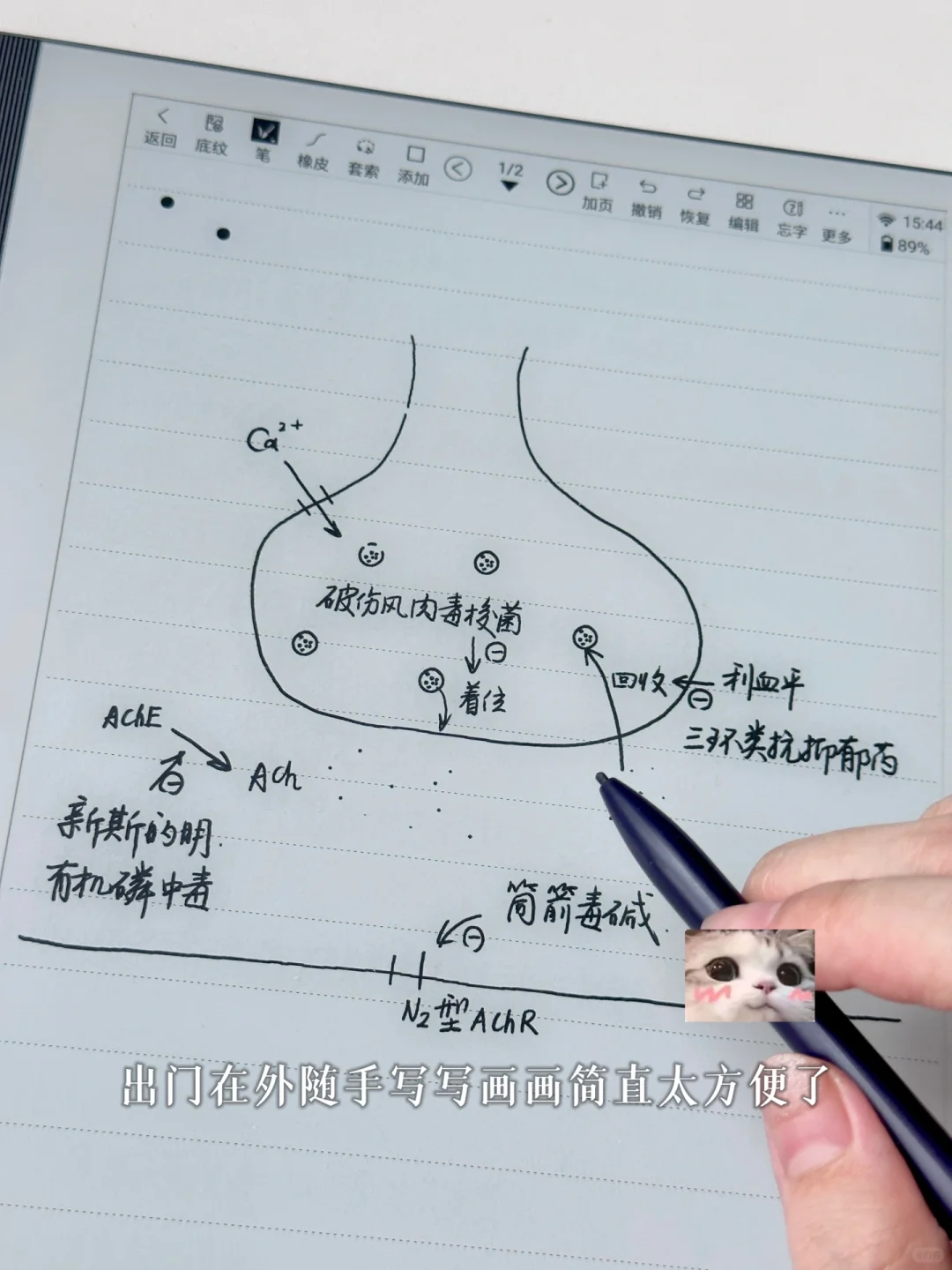 墨水屏真的轻负高效！