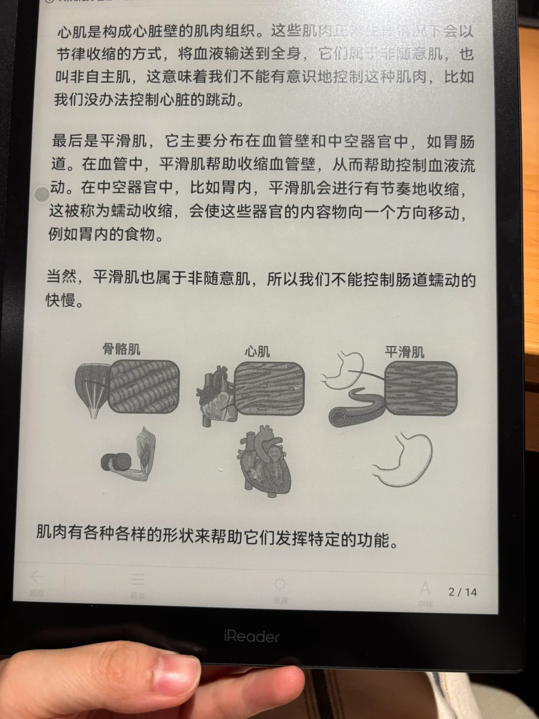 电子书可以看微信公众号呀