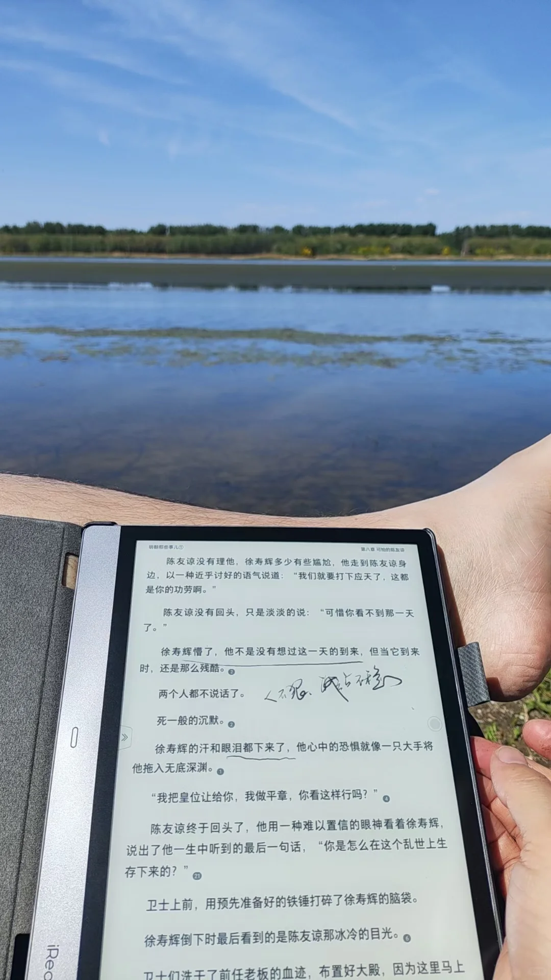 阳光和阅读器氛围感绝了