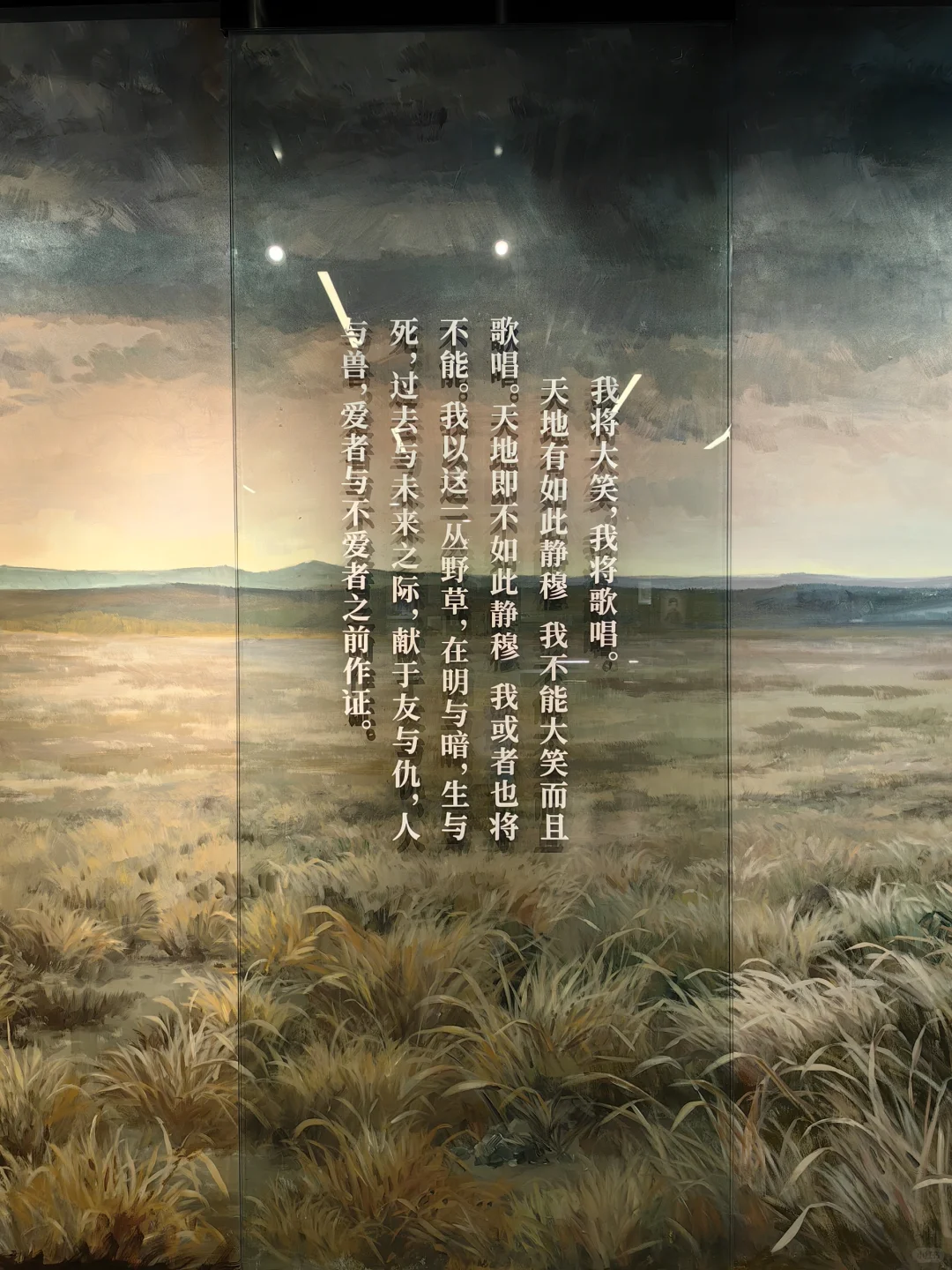 再读鲁迅的朝花夕拾