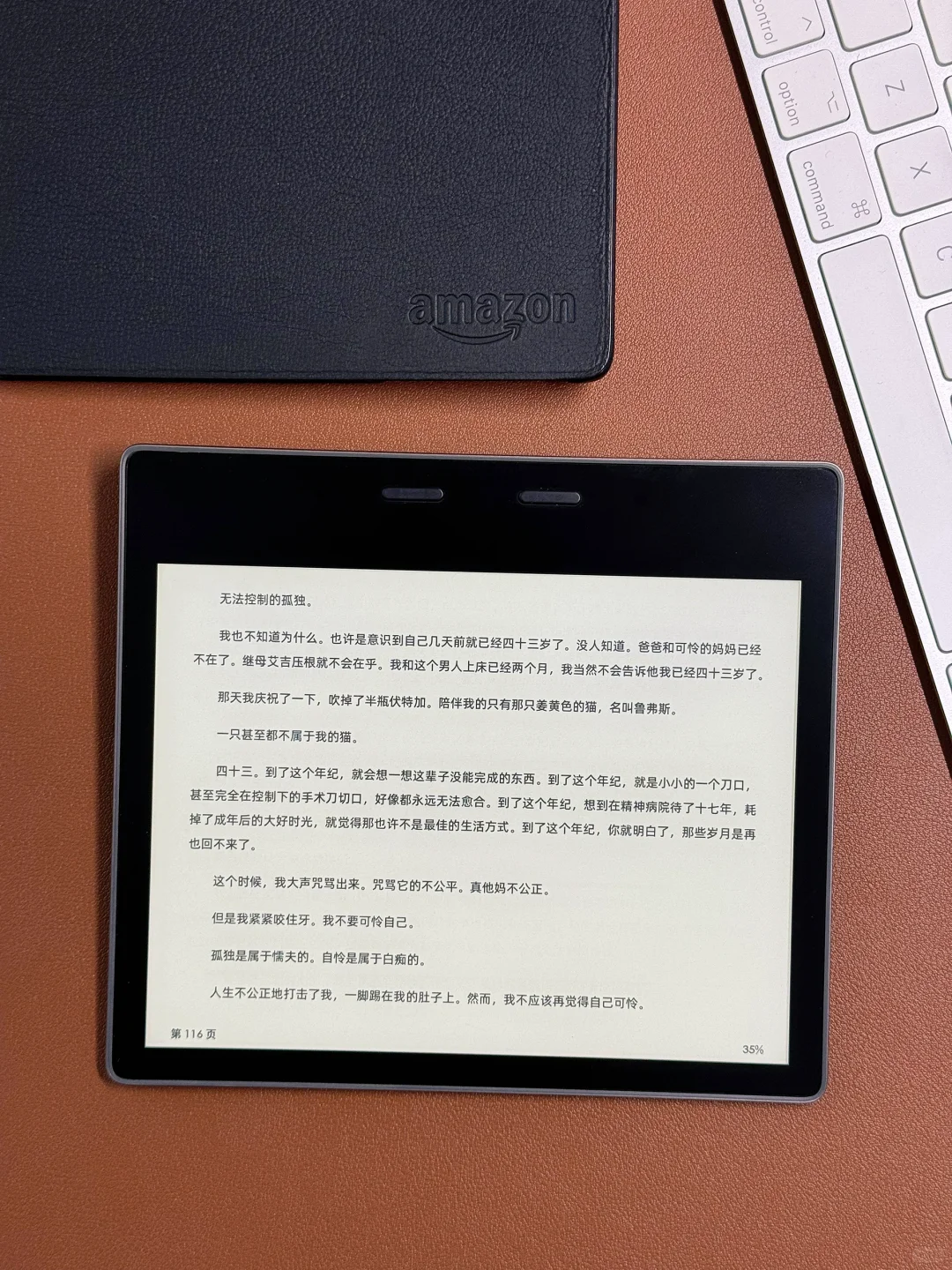 📚Kindle Oasis3 为何让人念念不忘？