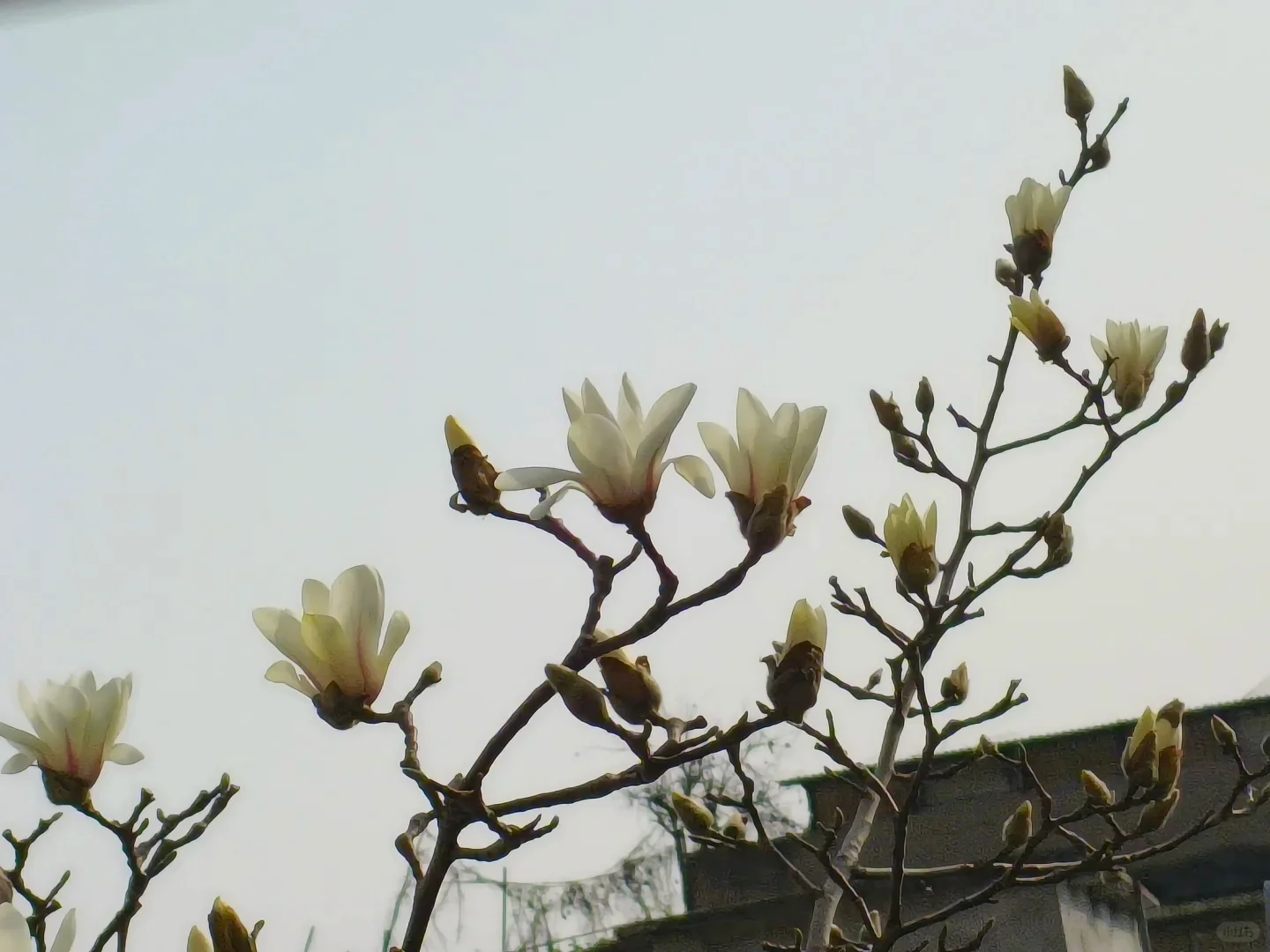 读书快乐 祝你昂扬向上