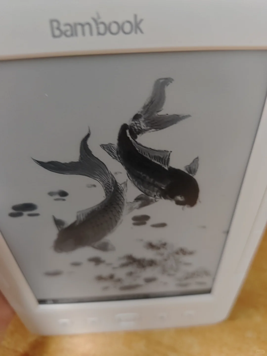 ➗盛大锦书阅读器