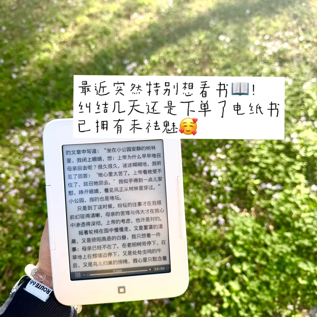 考研日记Day22