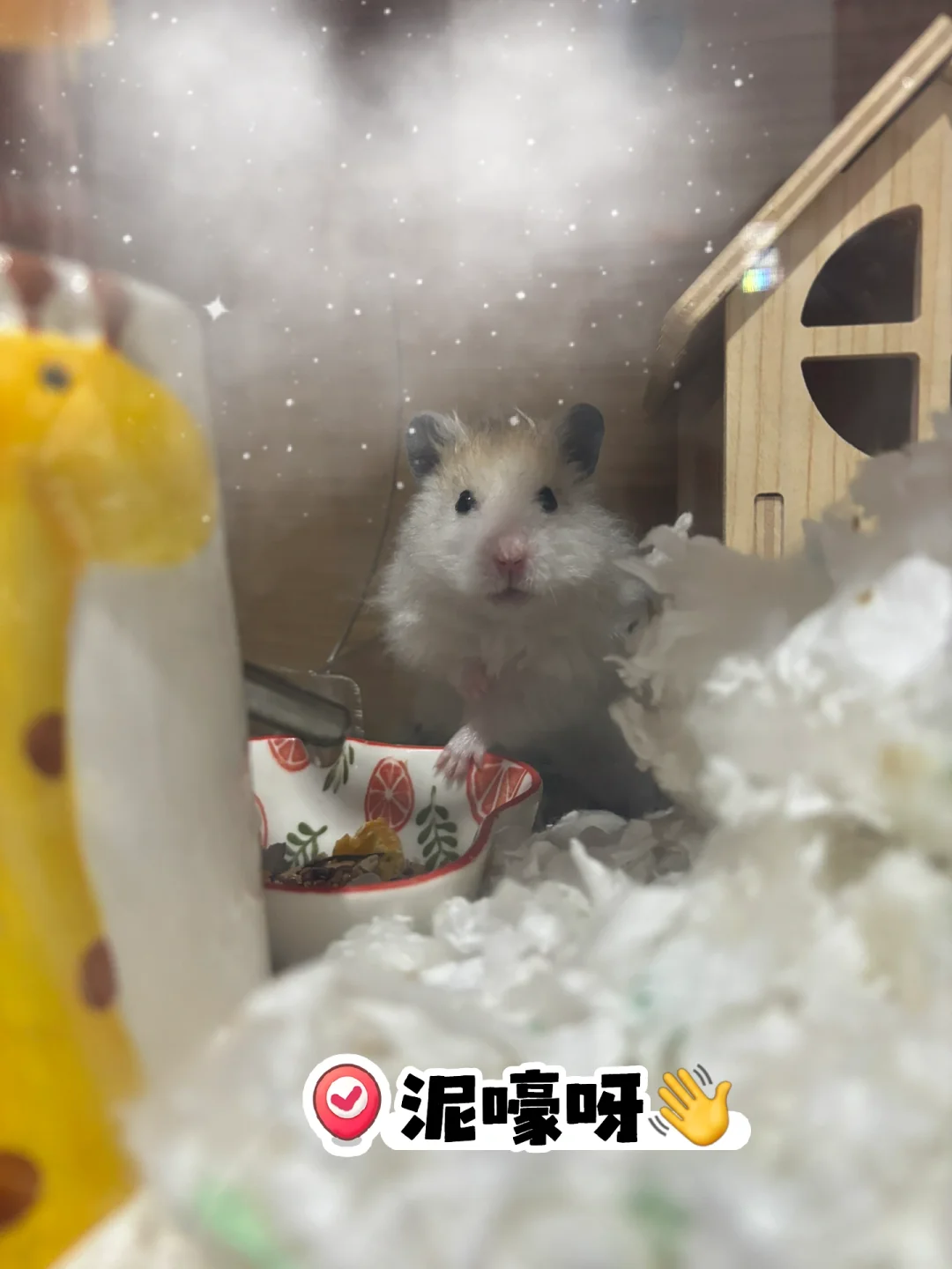 🔓解锁掌阅｜中短税前整本2250保底签约啦！