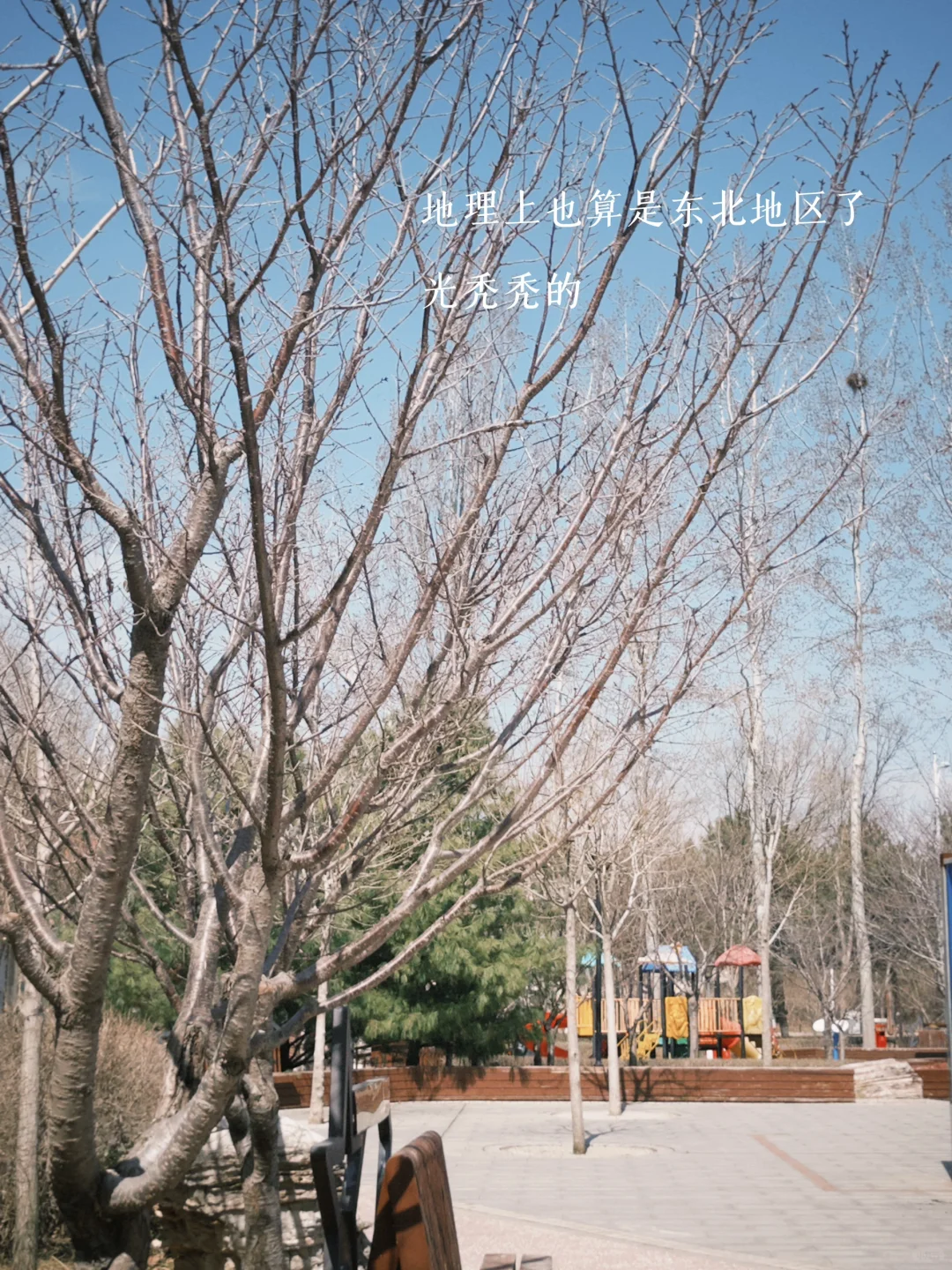 （：阳光把纸书的肌理照出漫漫丘陵
