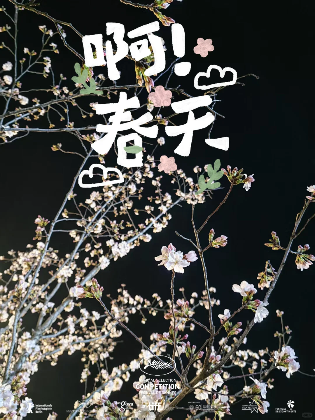 35岁！大龄转行！初级律师的周末plog