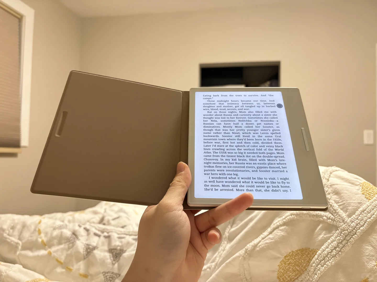Boox ereader