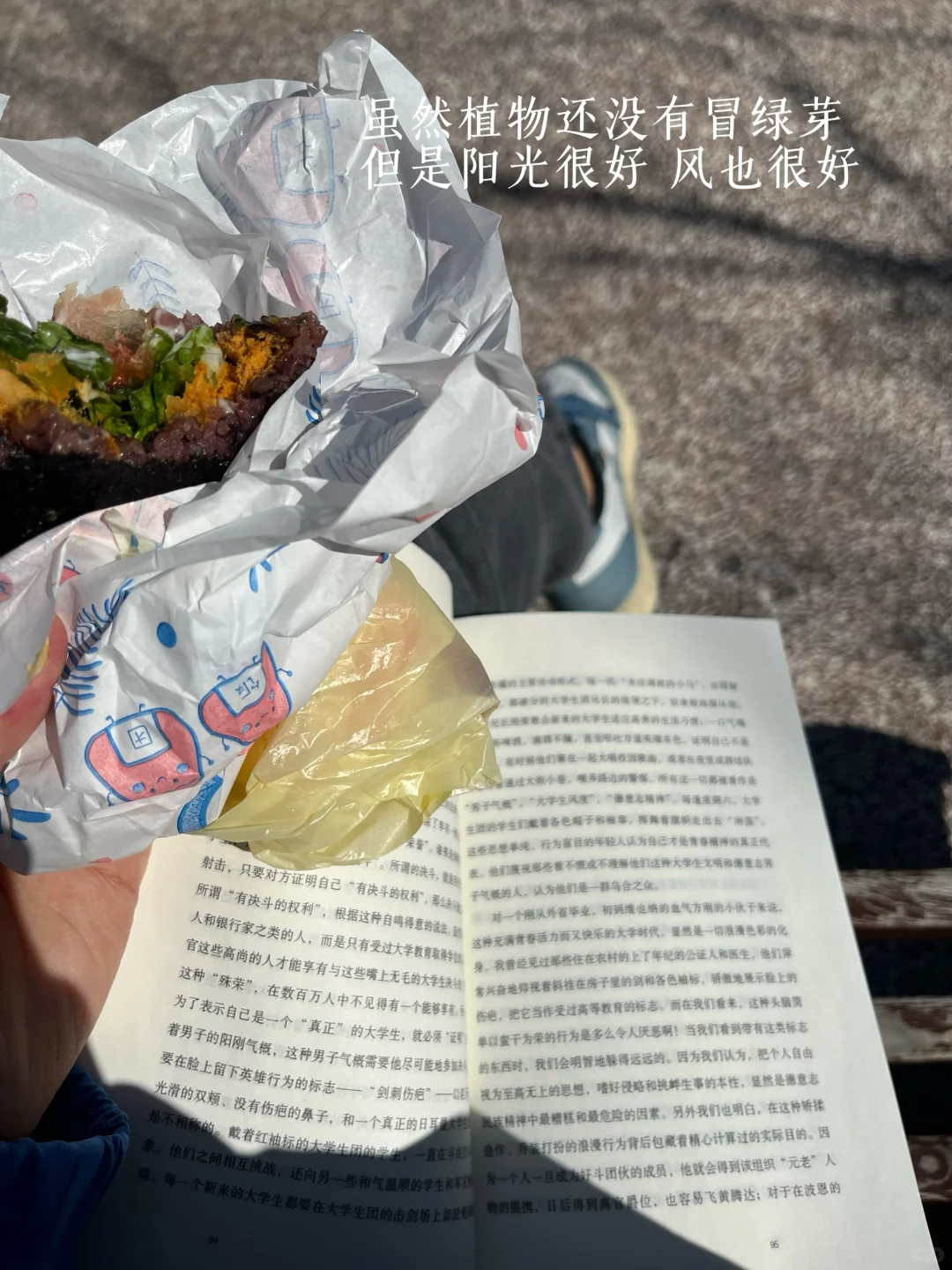（：阳光把纸书的肌理照出漫漫丘陵