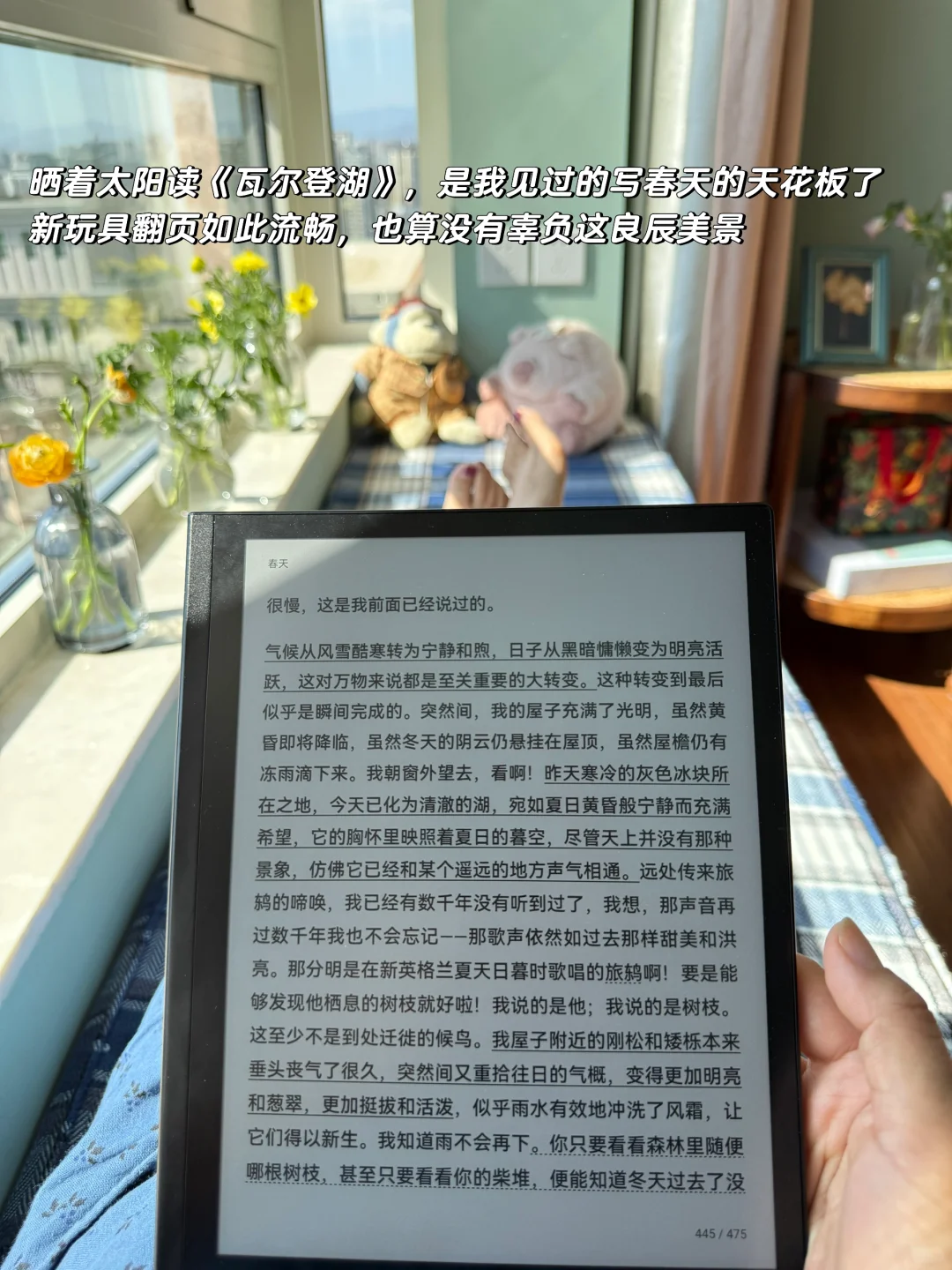 阅读不能带来好运，但能让你悄悄成为你自已