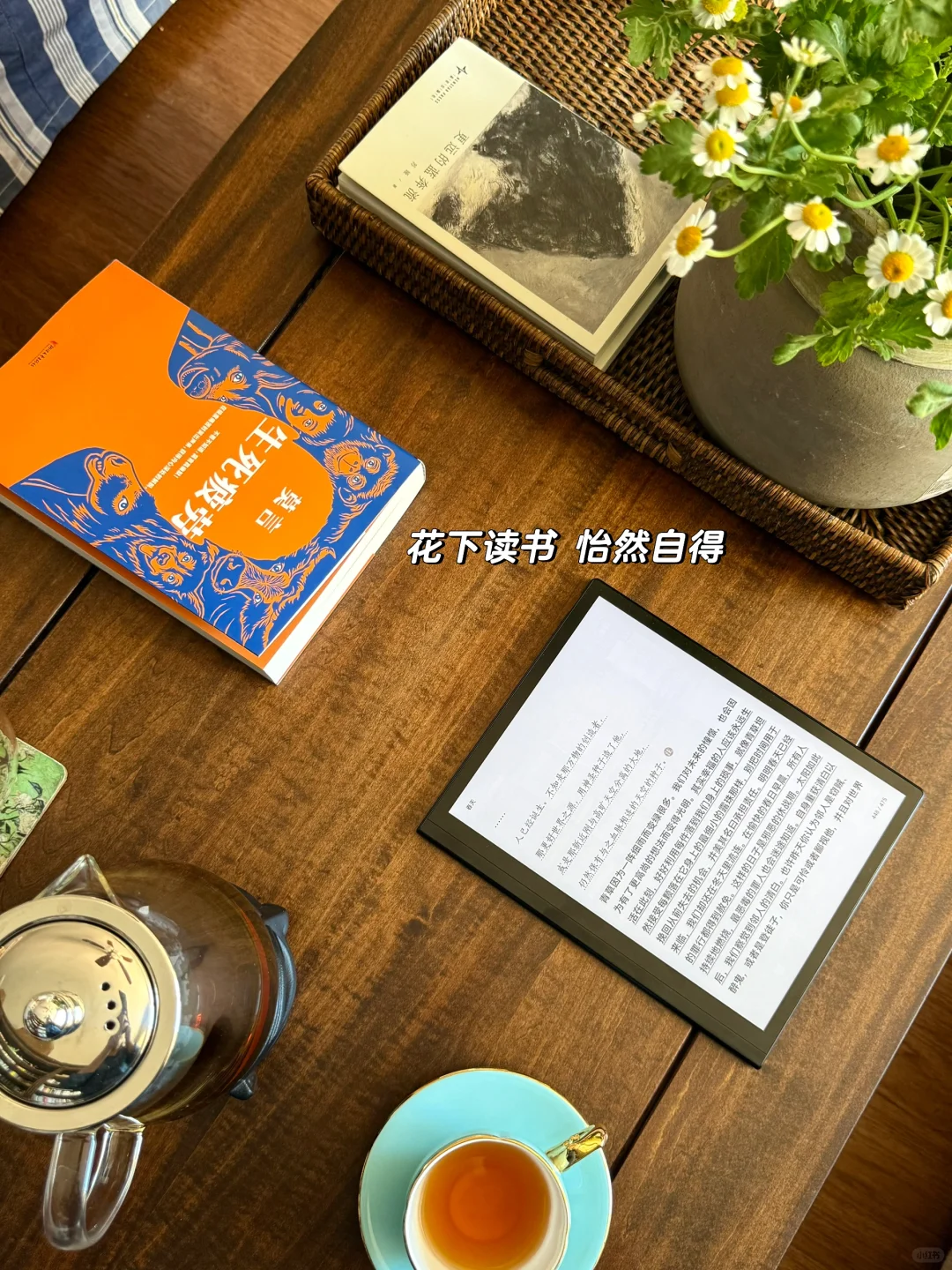 阅读不能带来好运，但能让你悄悄成为你自已