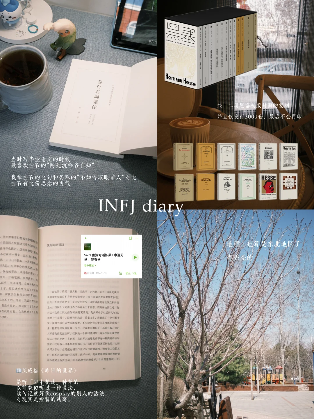 （：阳光把纸书的肌理照出漫漫丘陵