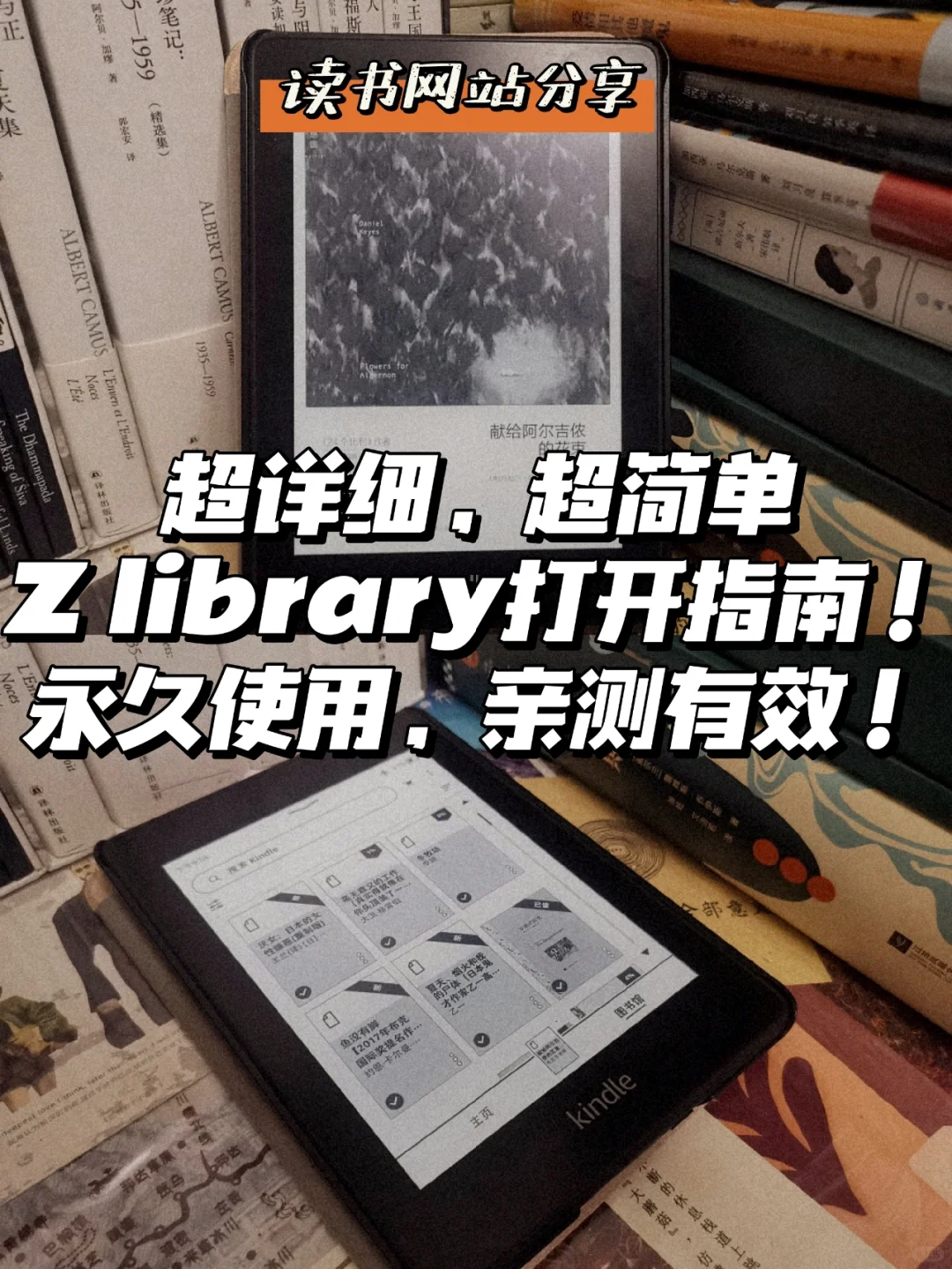 超详细Zlibrary打开指南，亲测有效❗️