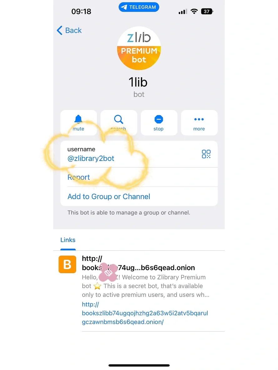 他回来了🥹今天的安全感是zlib给的😊