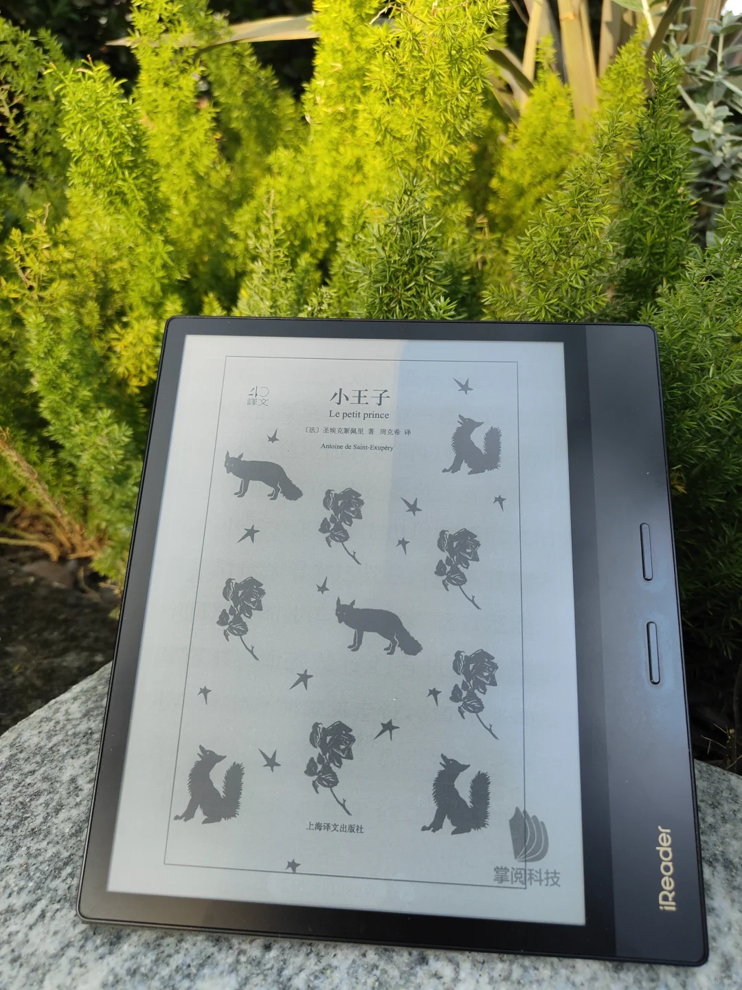 春日户外阅读2.0