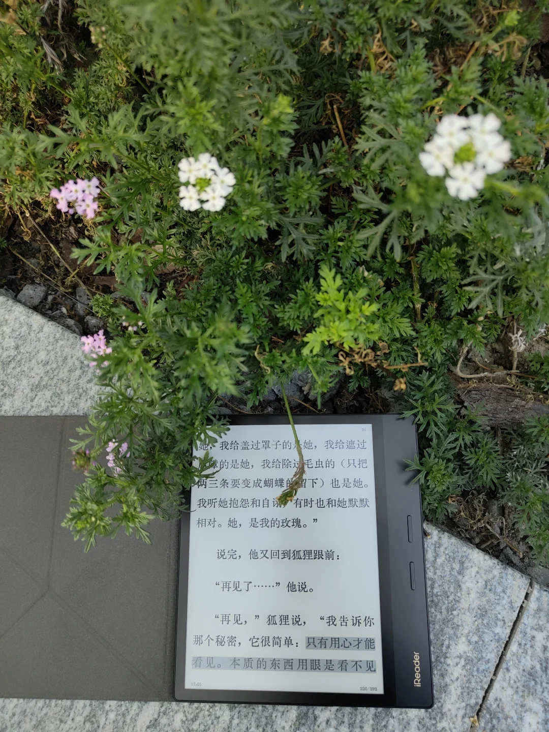 春日户外阅读2.0