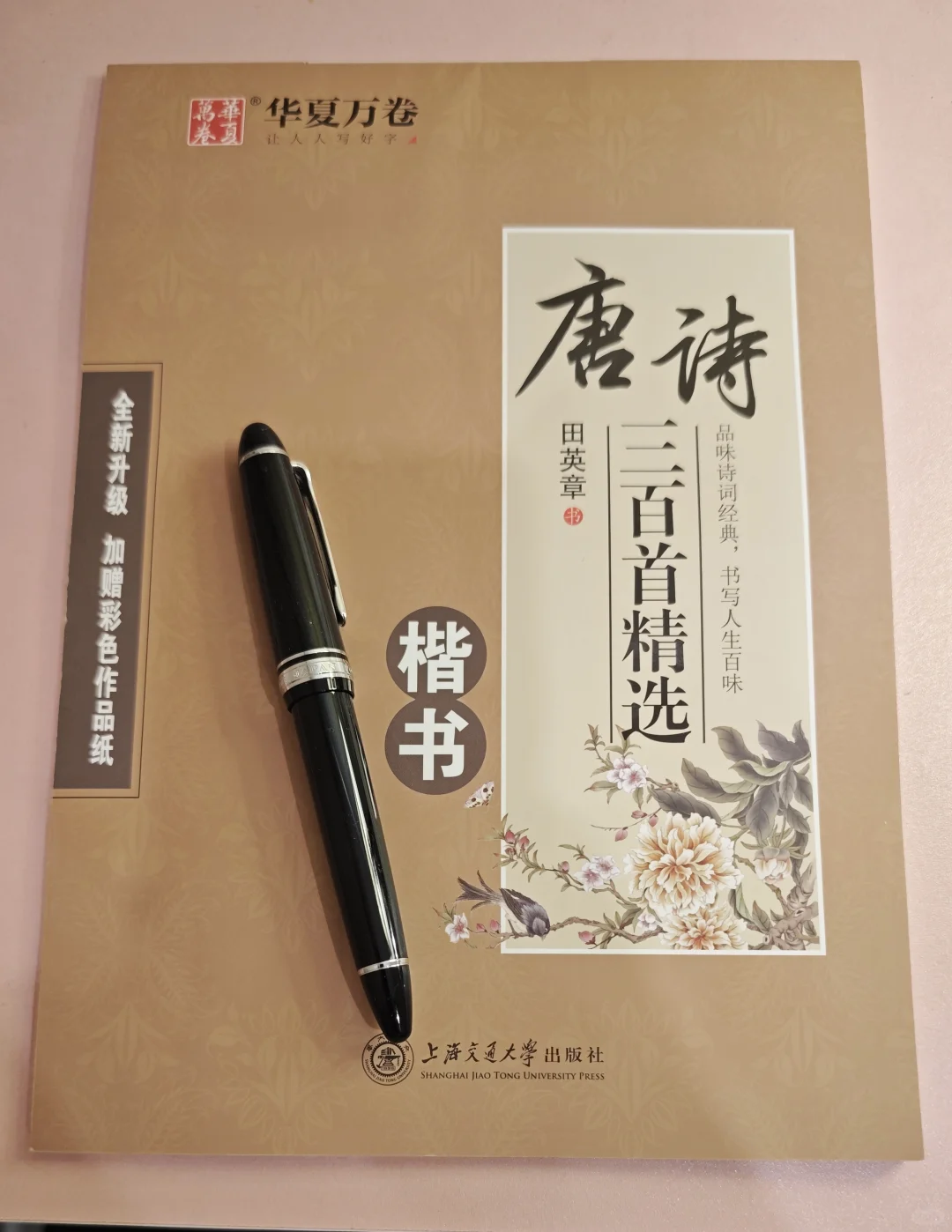 有了点自己的生活