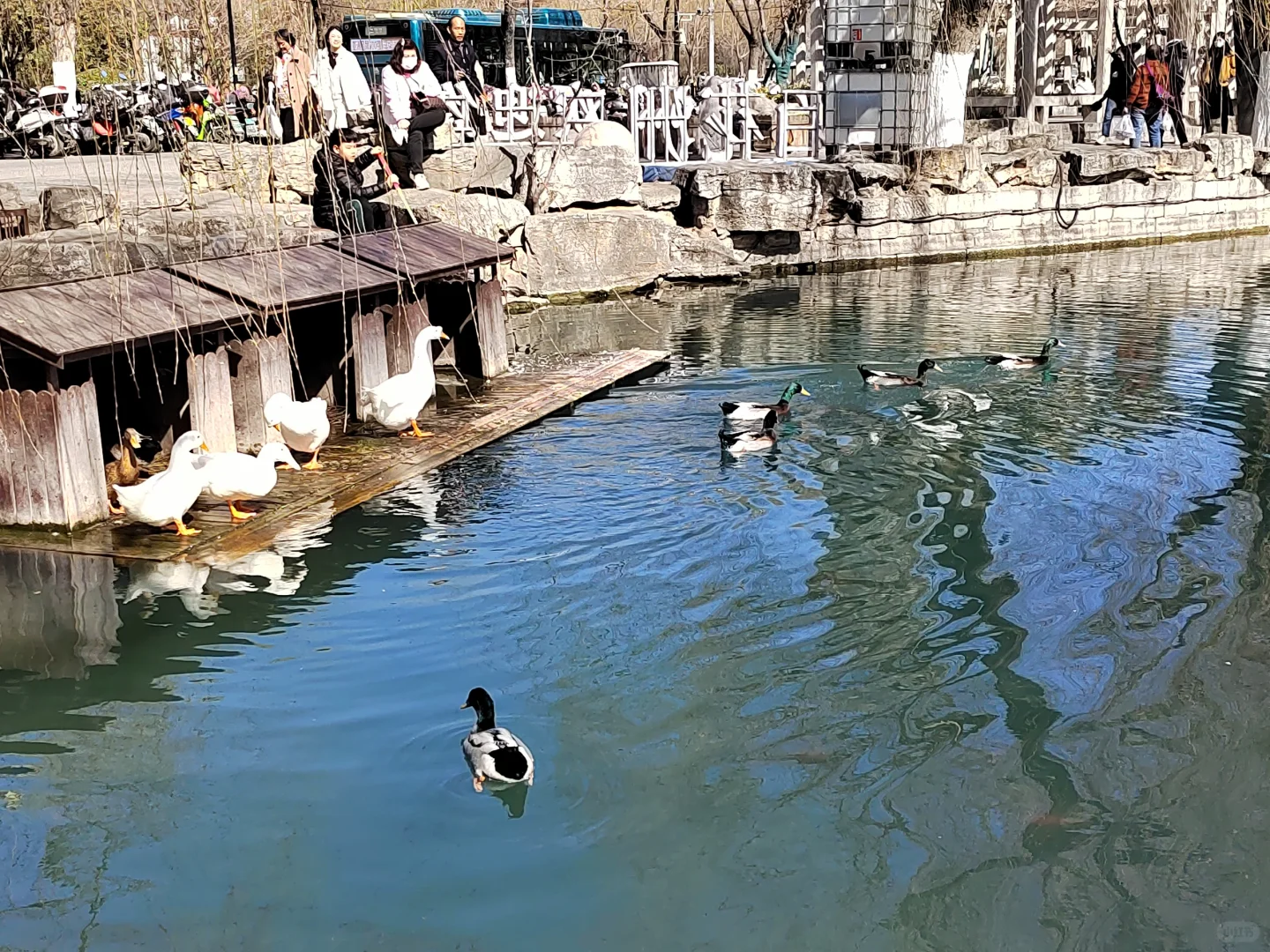 《围城》：一场永恒的困兽
