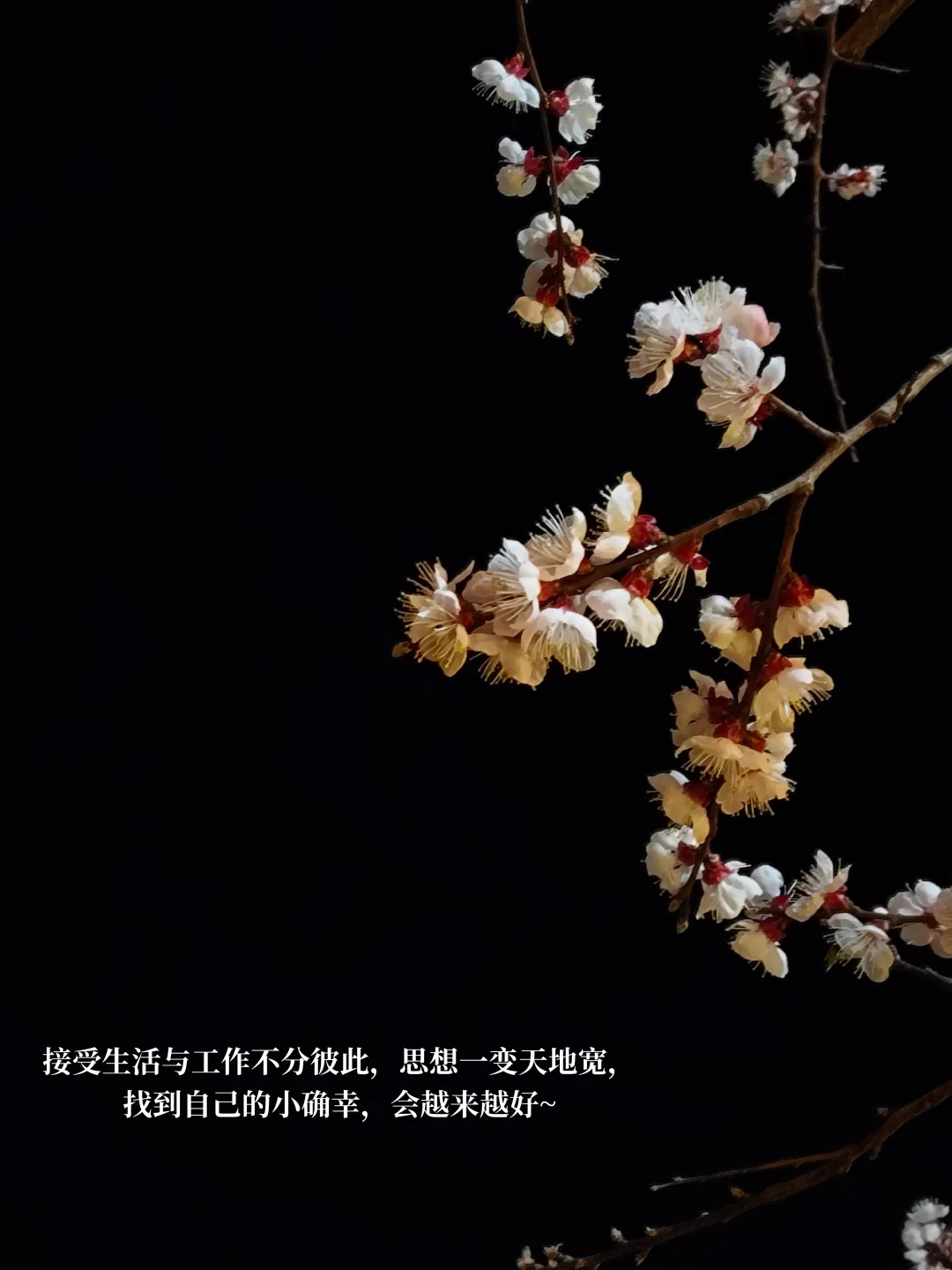 体制女生，当我发现工作与生活分不了彼此