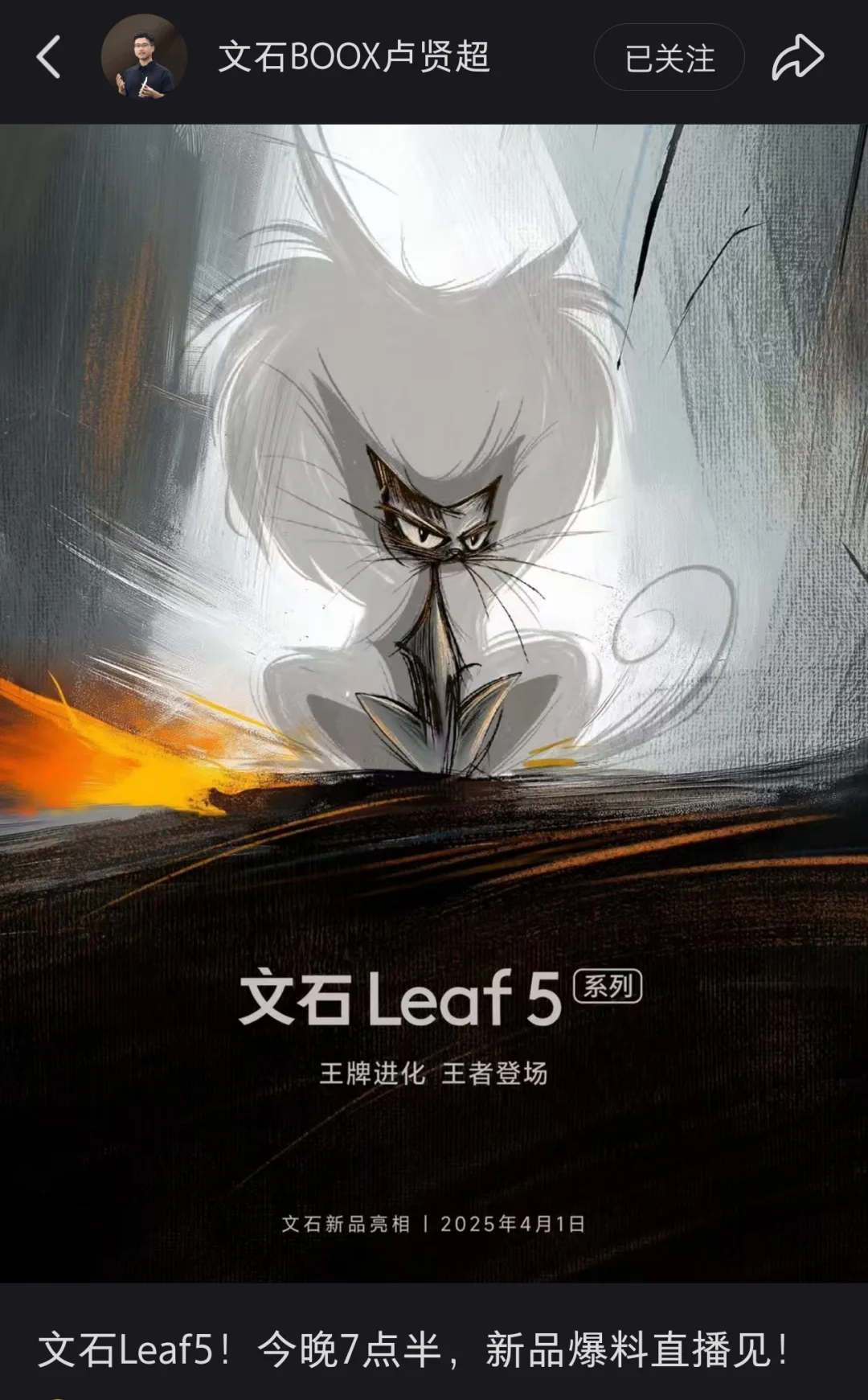打起来，打起来！