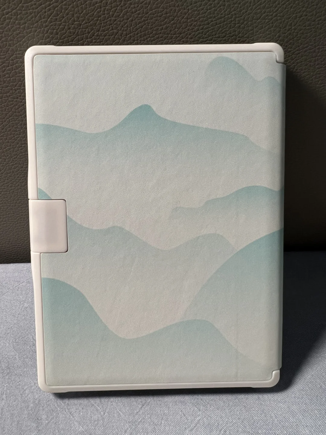 (已出)出掌阅neo2保护套