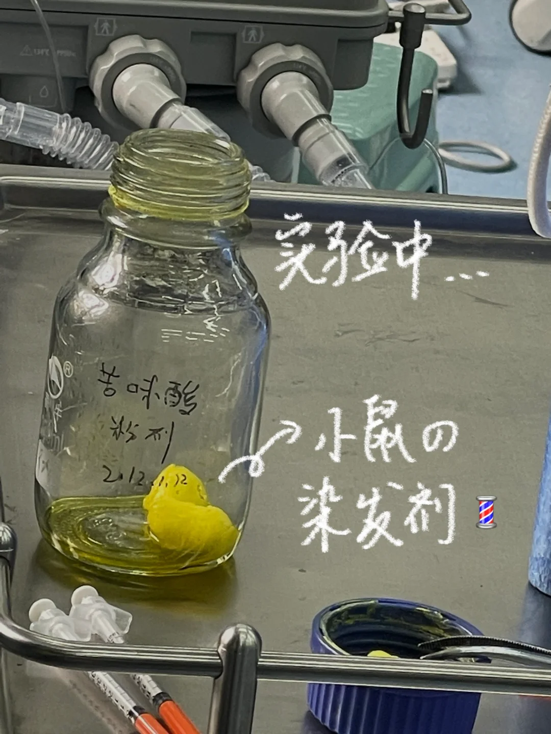 3.24-3.30｜week 6｜任何你没有改变的