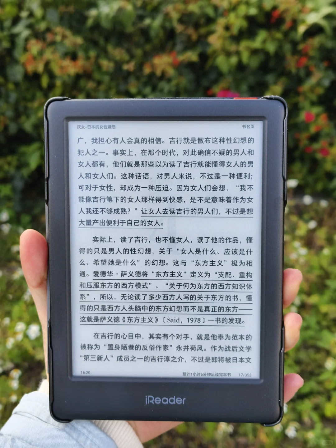 春日、树影以及书籍