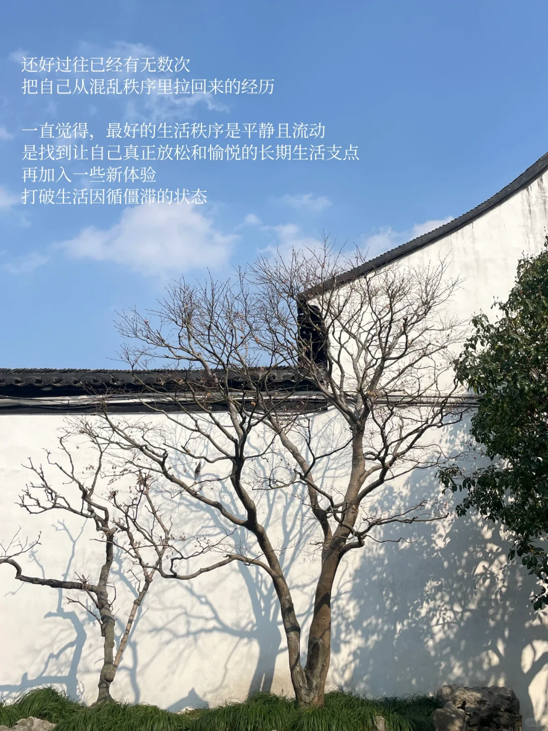 人最好的状态是平静且流动