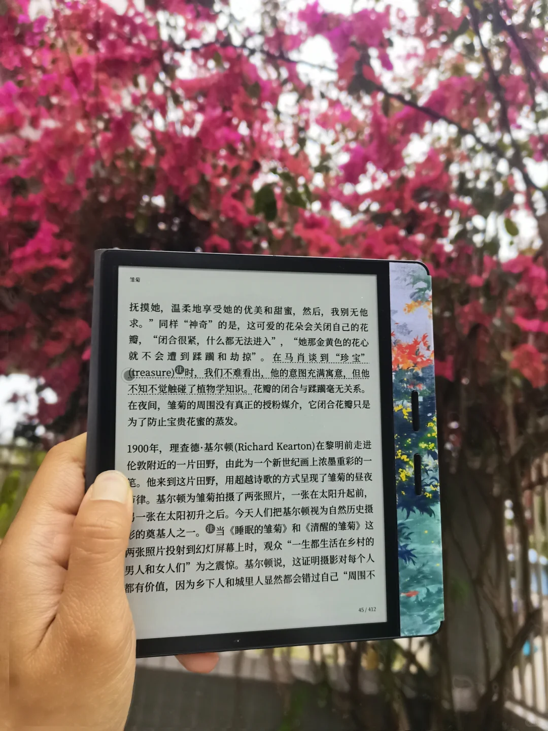 春天的花