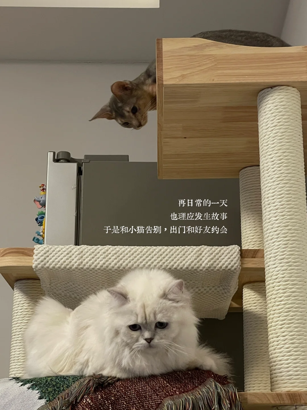 ：怀旧是你灵魂的习惯。