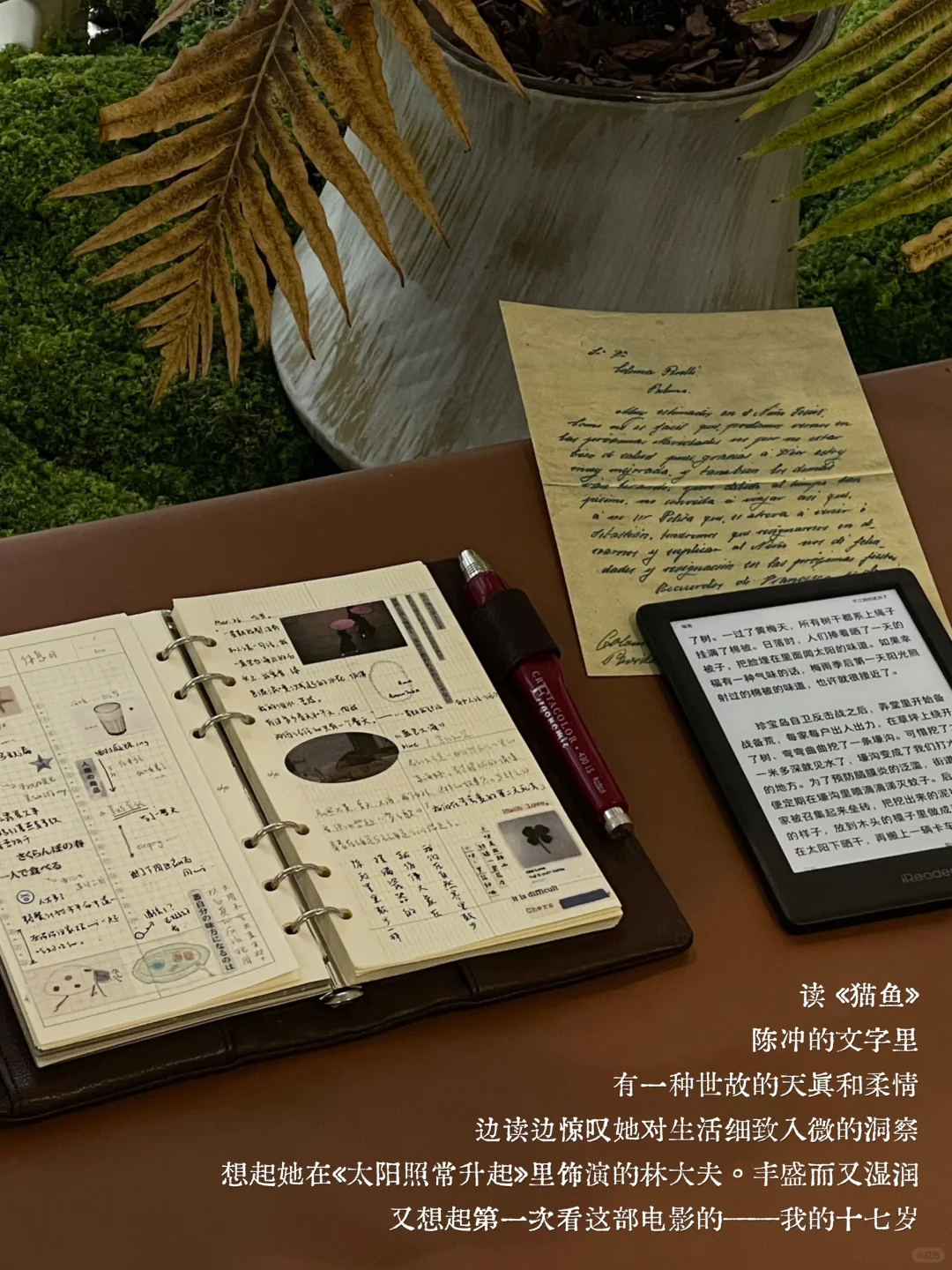 ：怀旧是你灵魂的习惯。