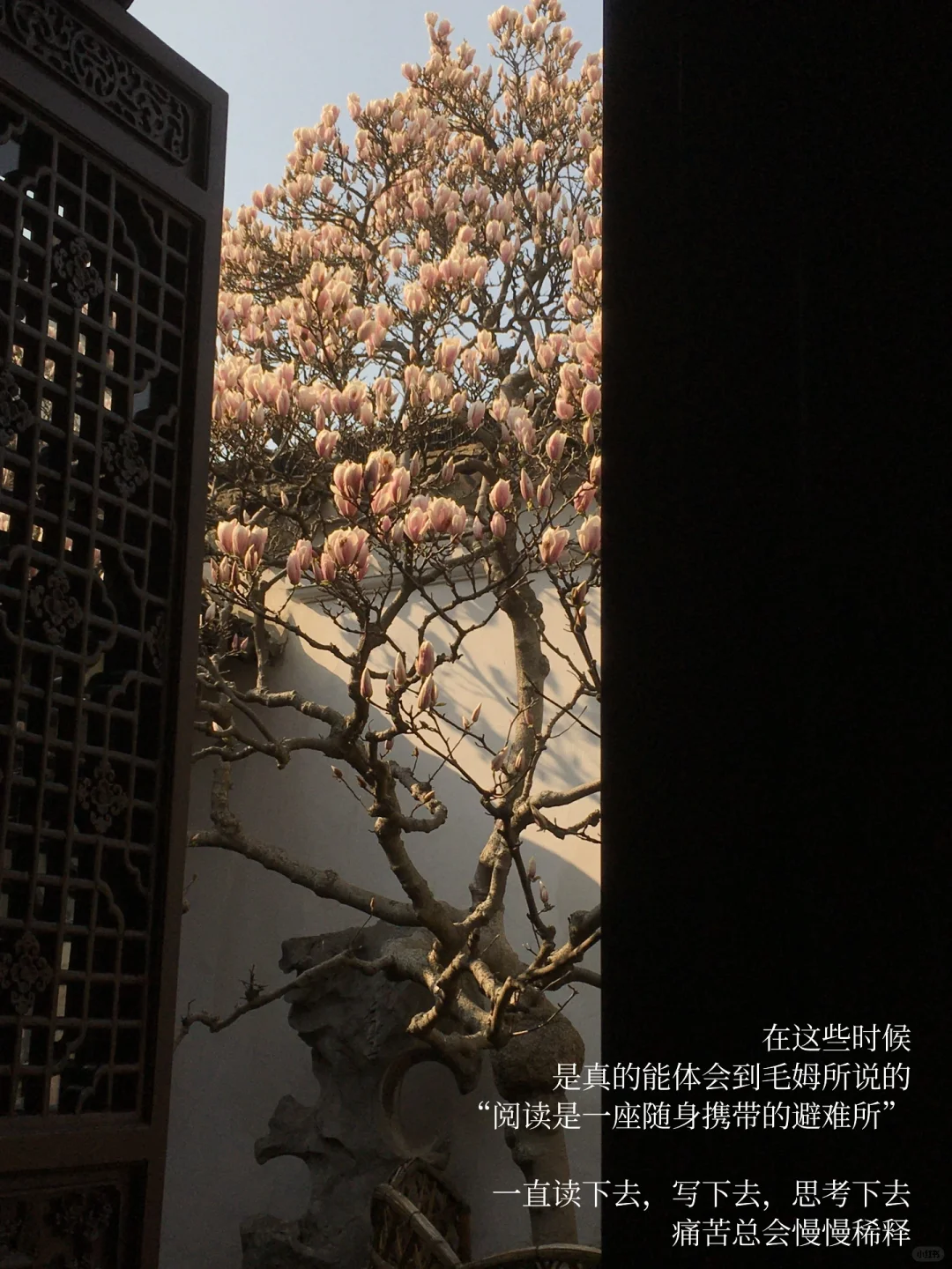 人最好的状态是平静且流动