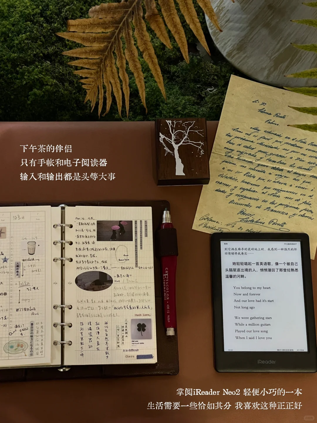 ：怀旧是你灵魂的习惯。