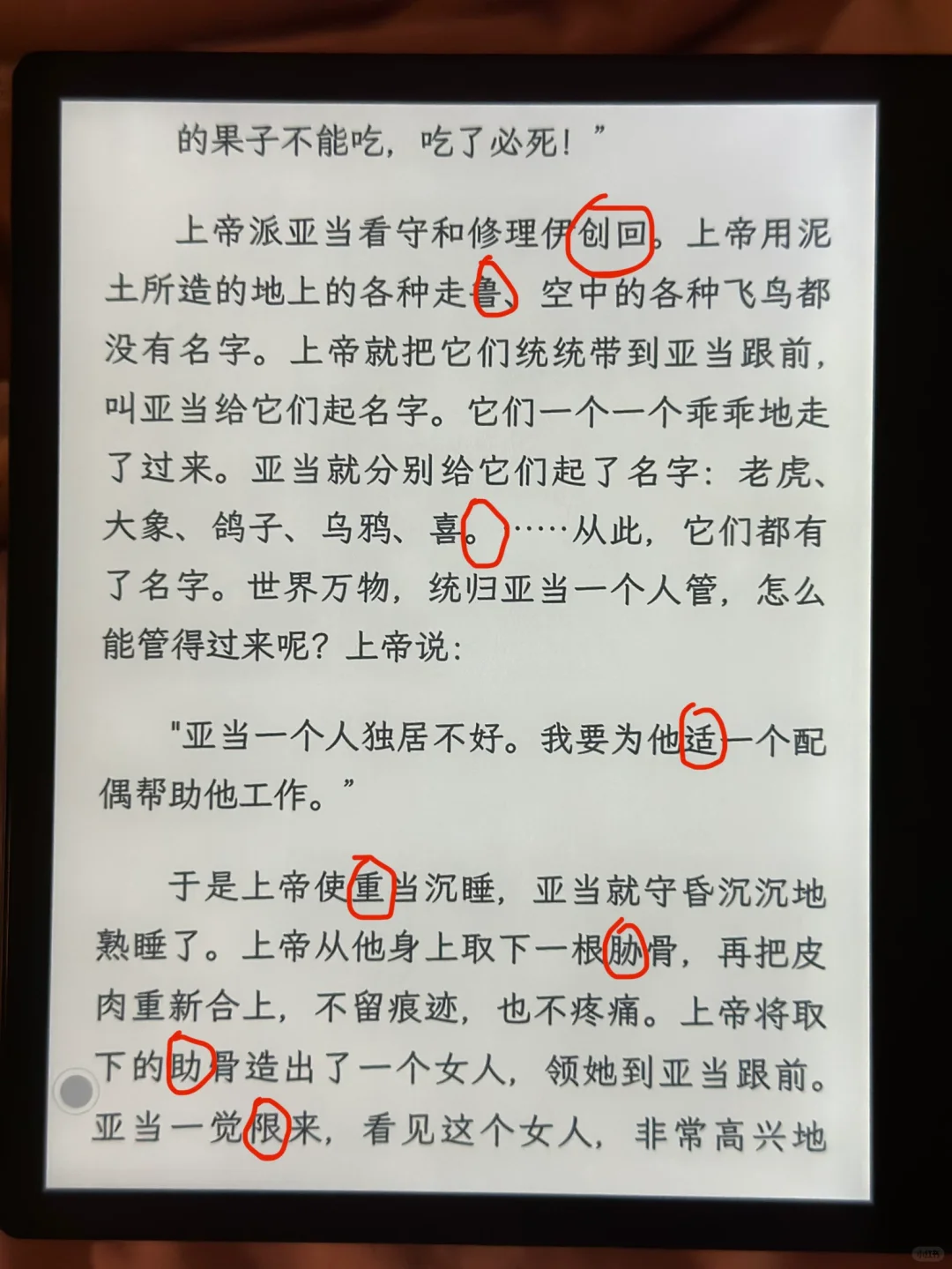 掌阅ocr错别字敢不敢再多些