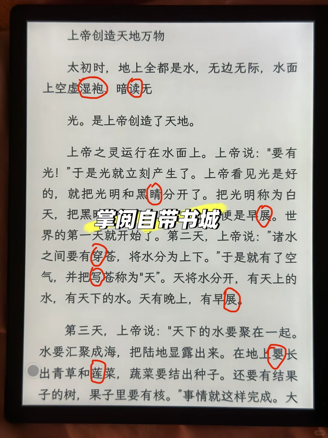 掌阅ocr错别字敢不敢再多些