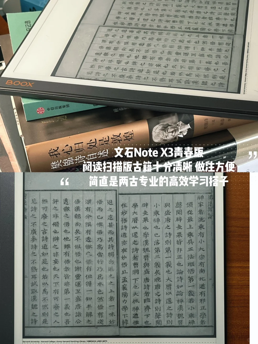 独自旅行八天后，我决定把自己埋进书里📨