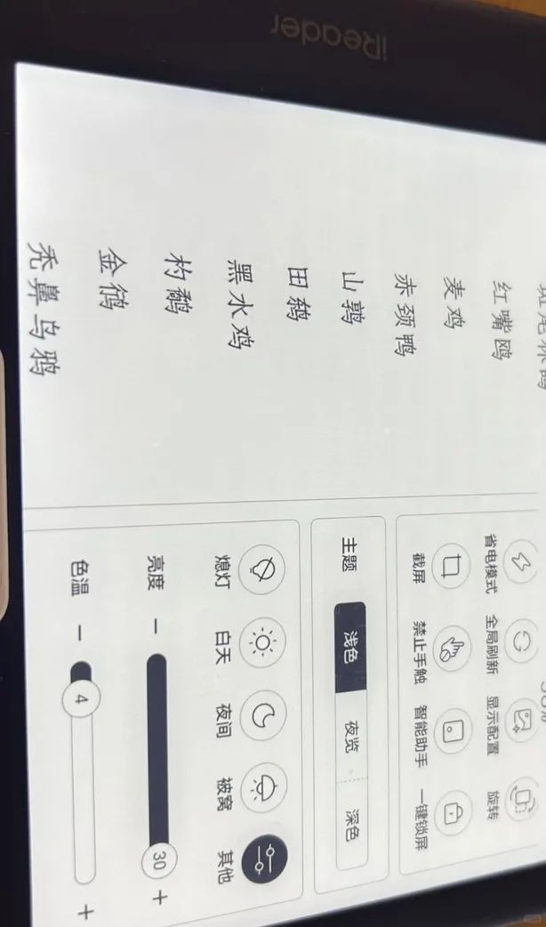 掌阅的一大一小，正正好好