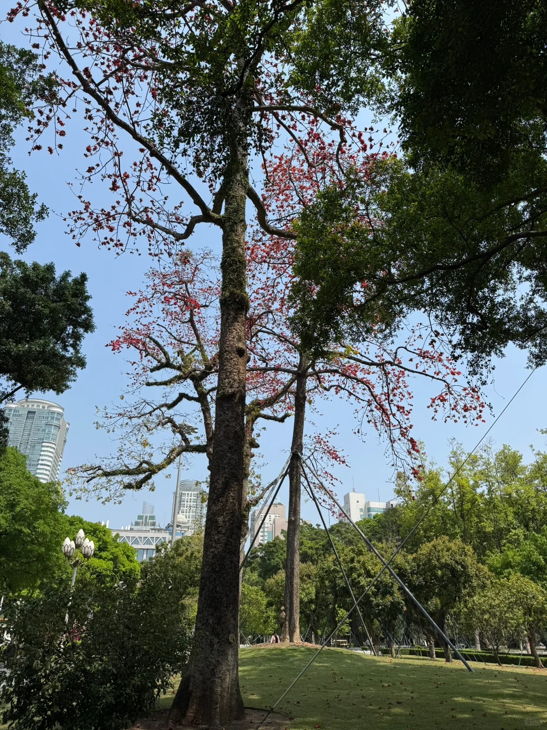 唯有春天和阅读不可辜负