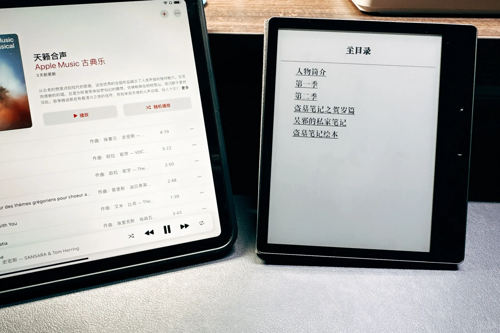 用墨水屏看盗墓笔记