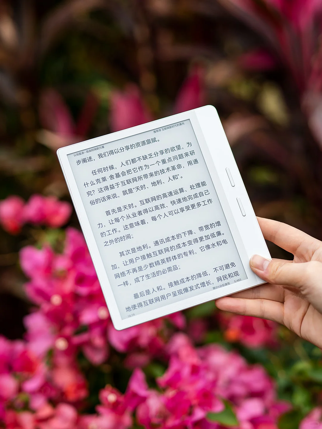 北极白🌸+户外读书=我的春日仪式感📖