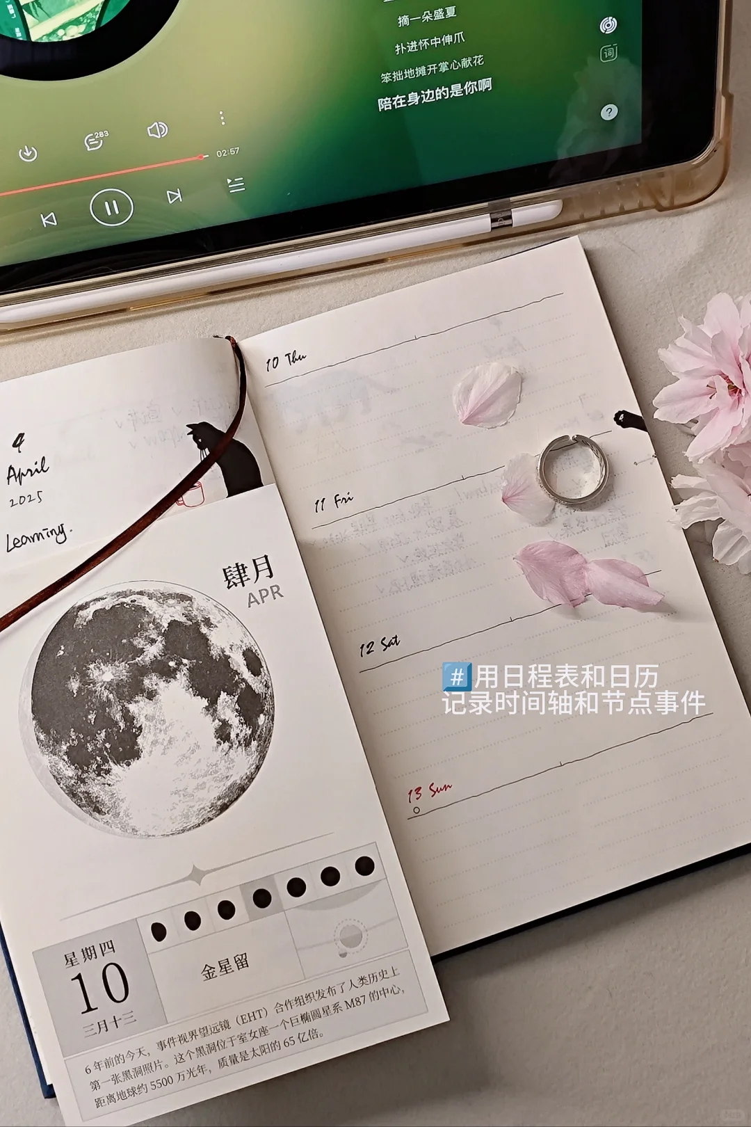 了解点什么?《破碎的生活》