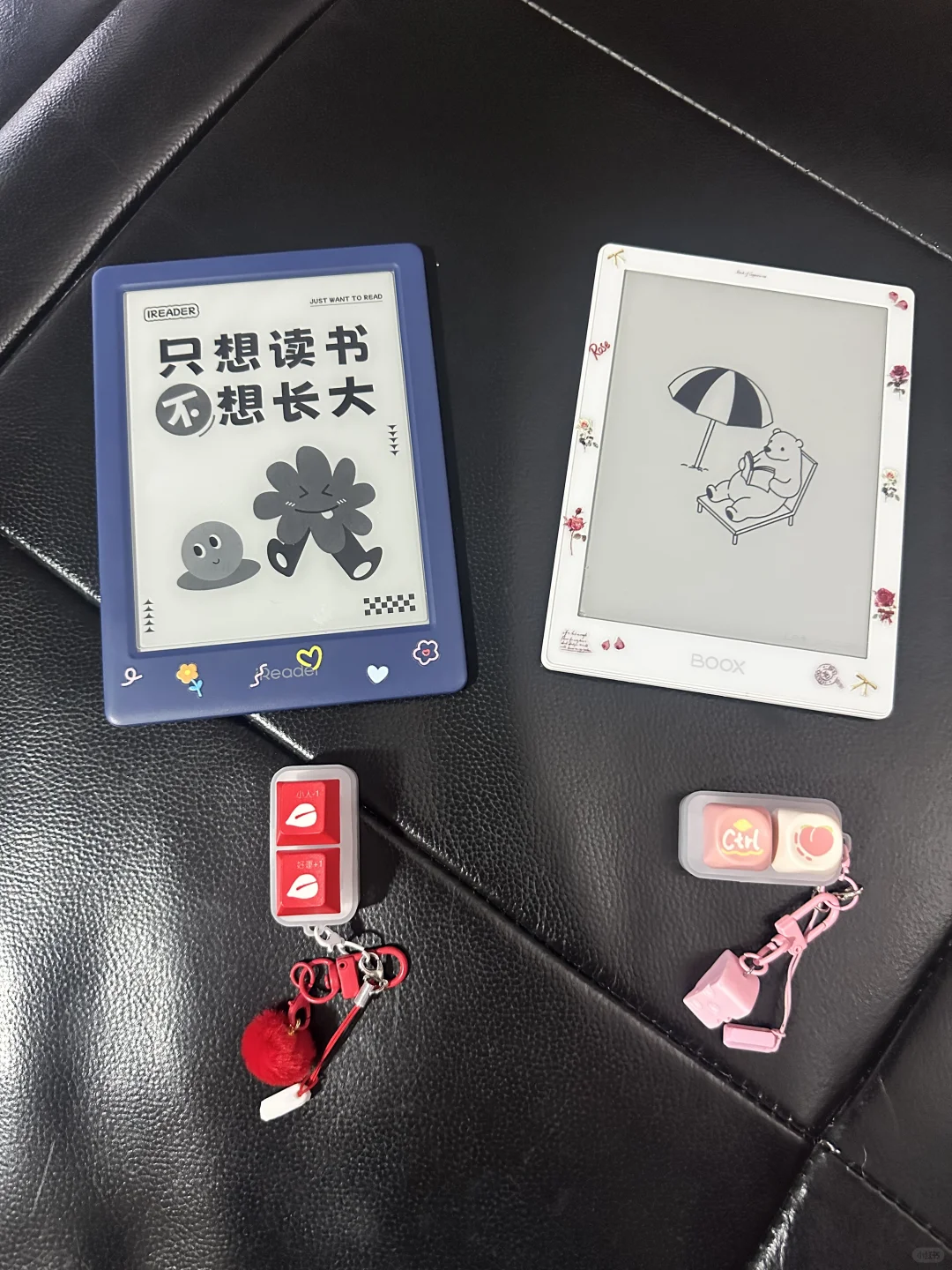 “炫富”——我的电纸书们