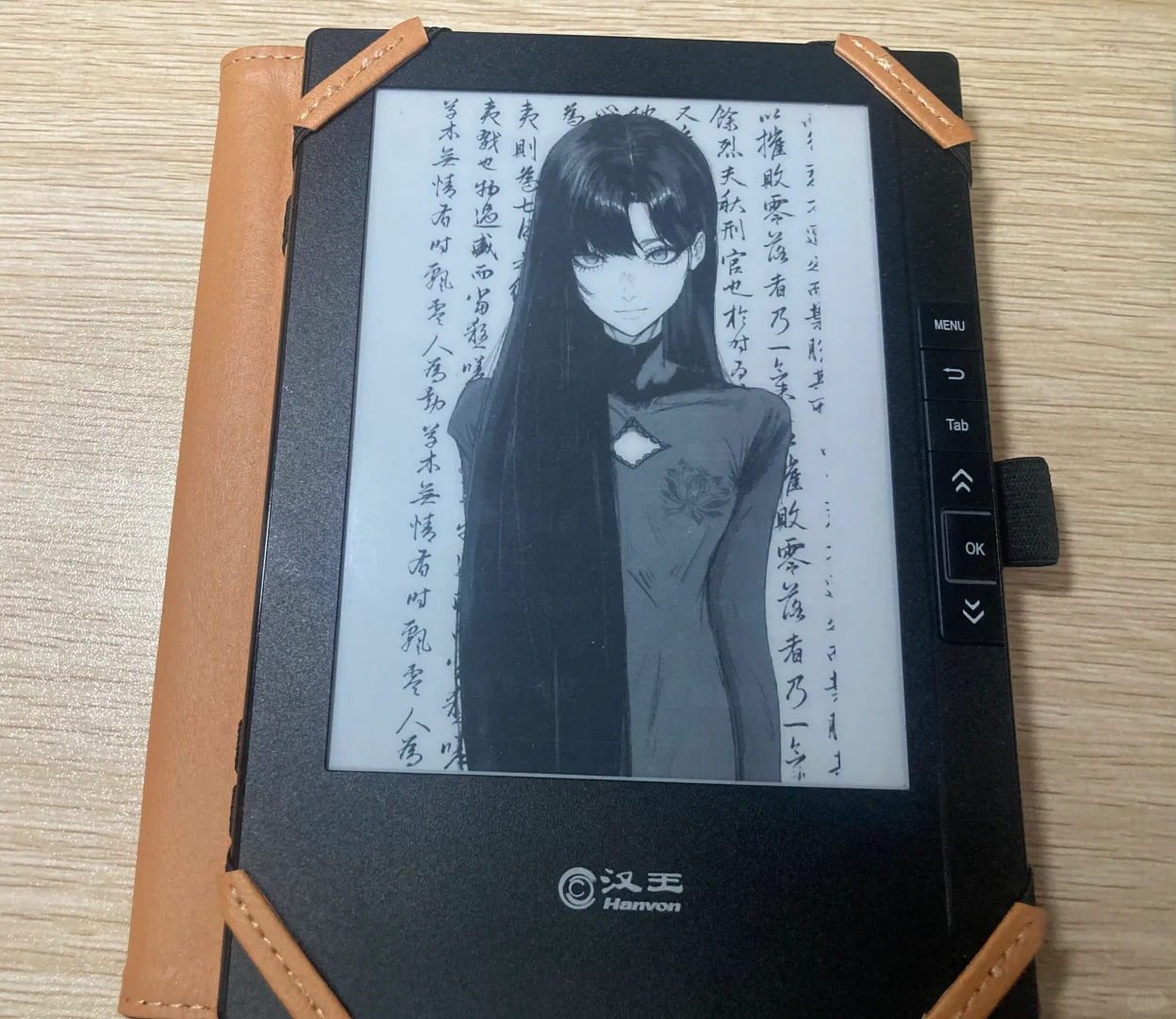 百元内的阅读器