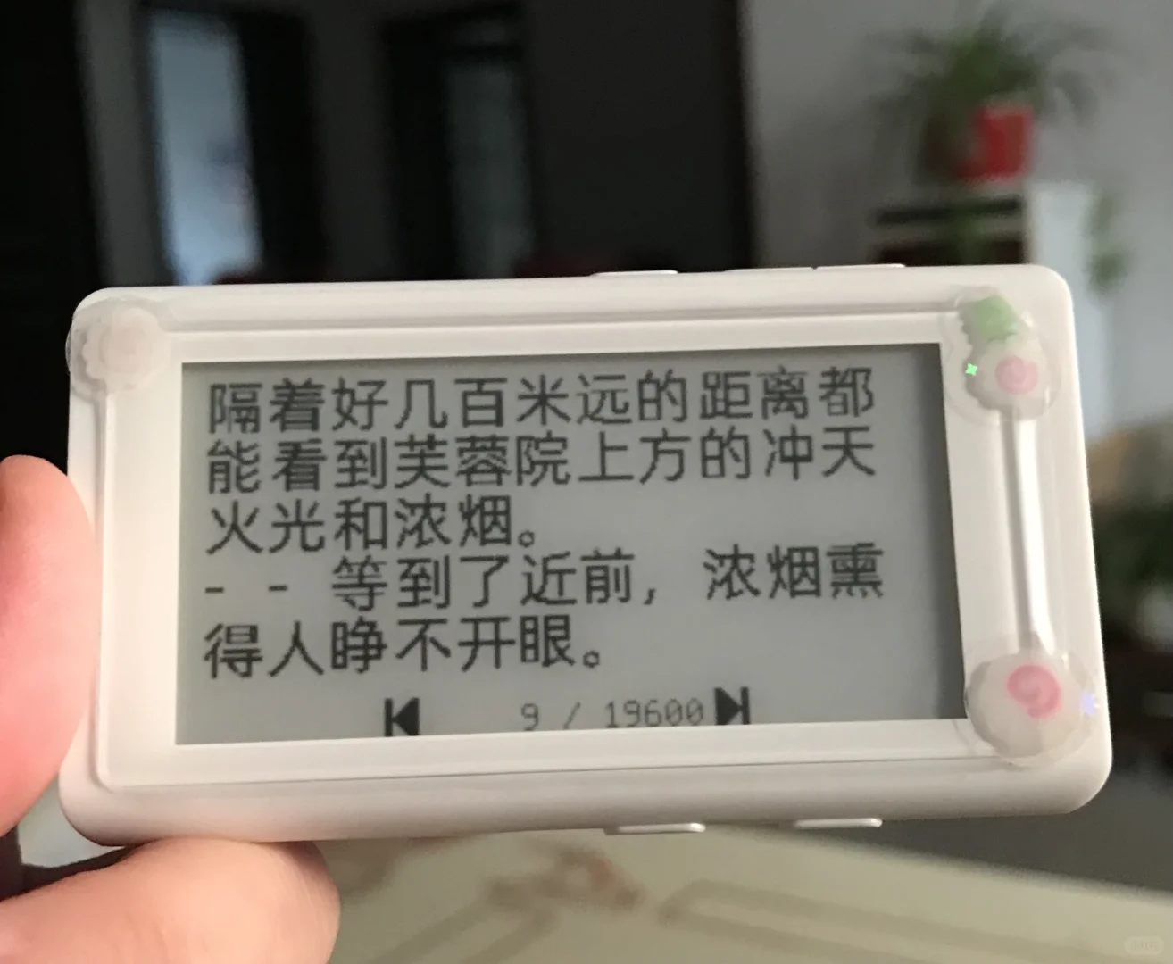白色小鼻嘎 一般喜欢(˶‾᷄⁻̫‾᷅˵)